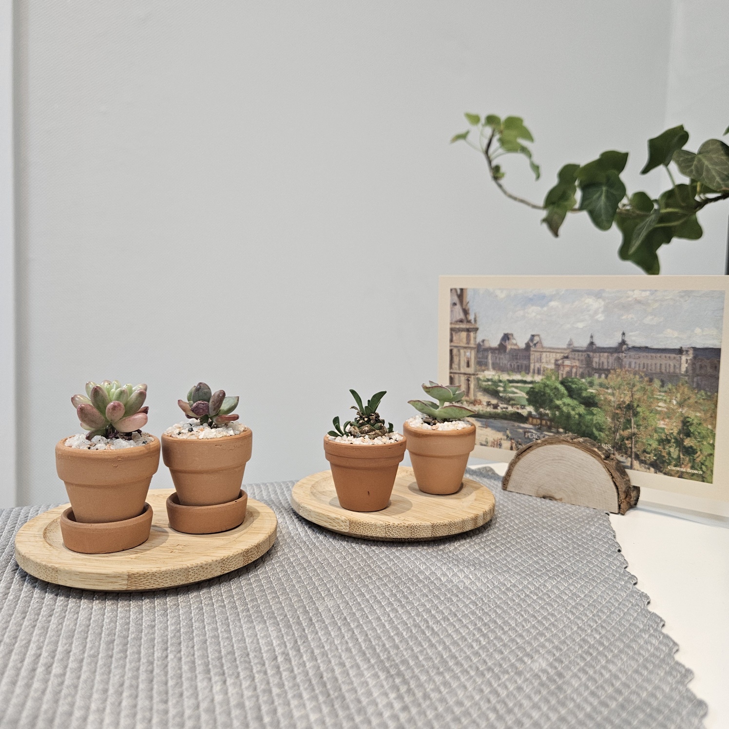 편안한 심리상담소 대표 이미지