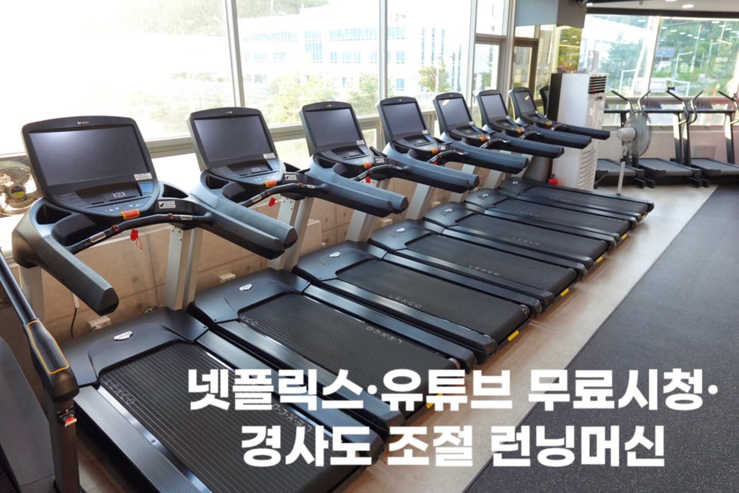 코이스짐