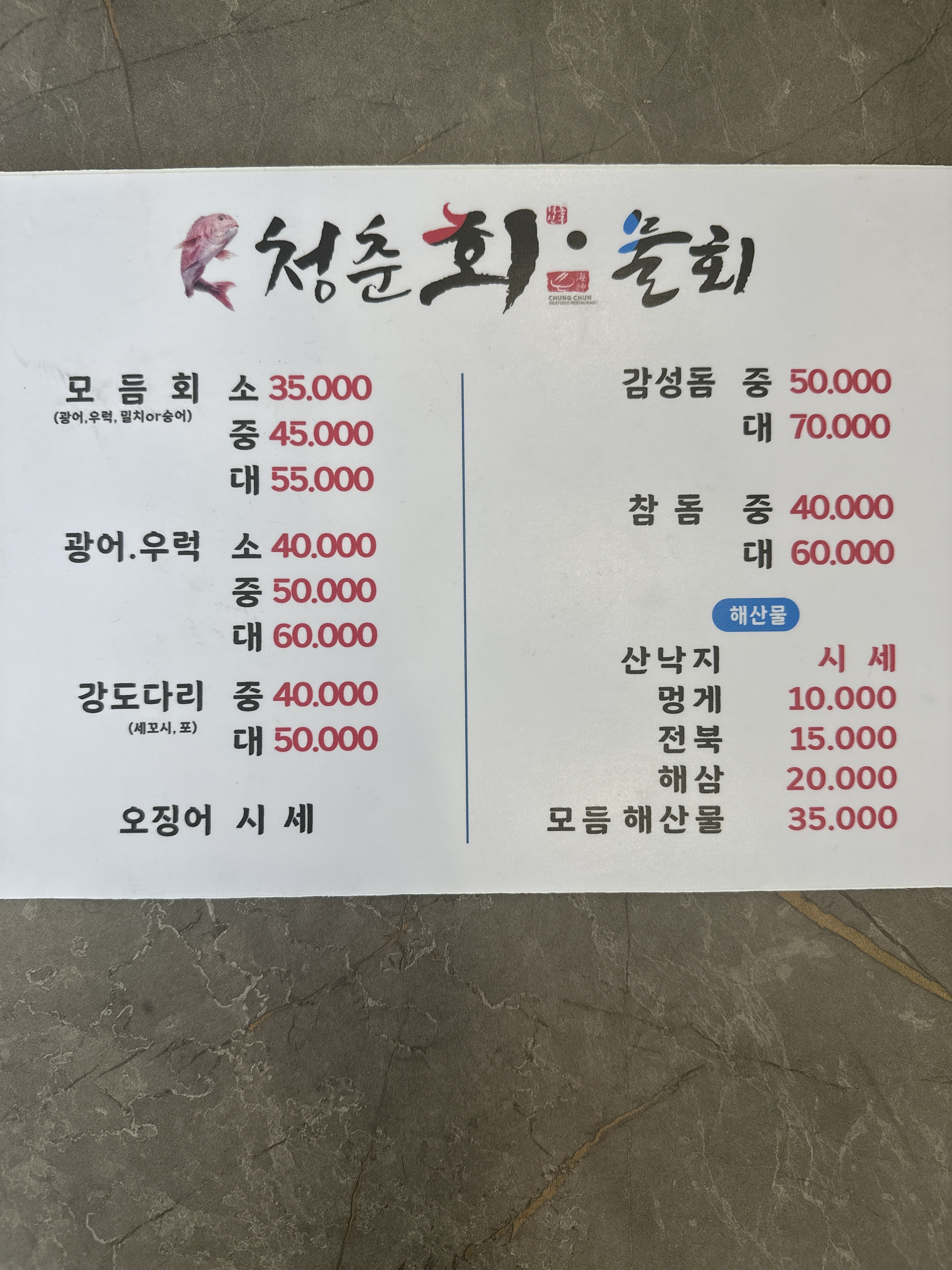 청춘회물회