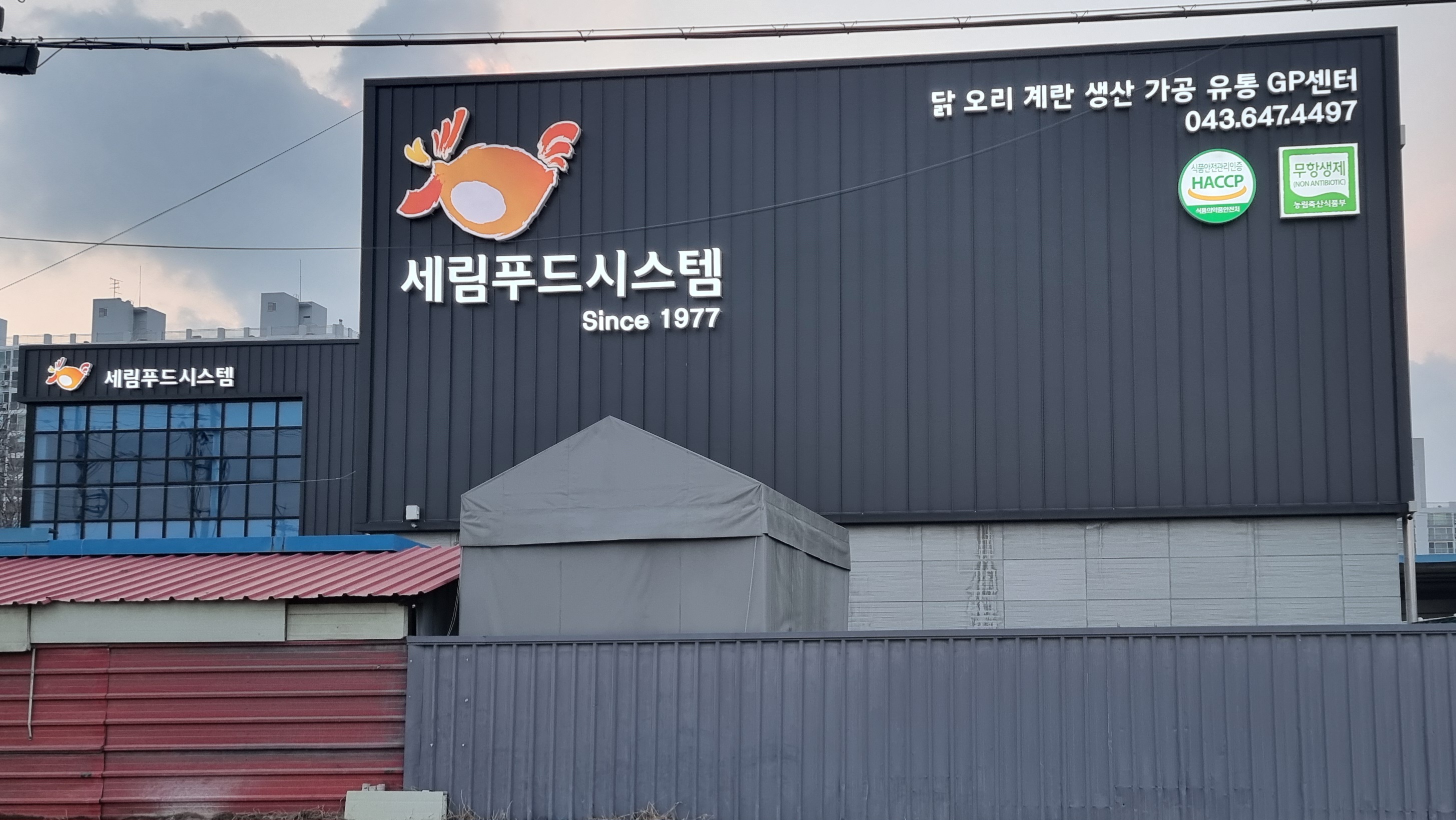 달기우리 흑마늘닭강정 단양구경시장점