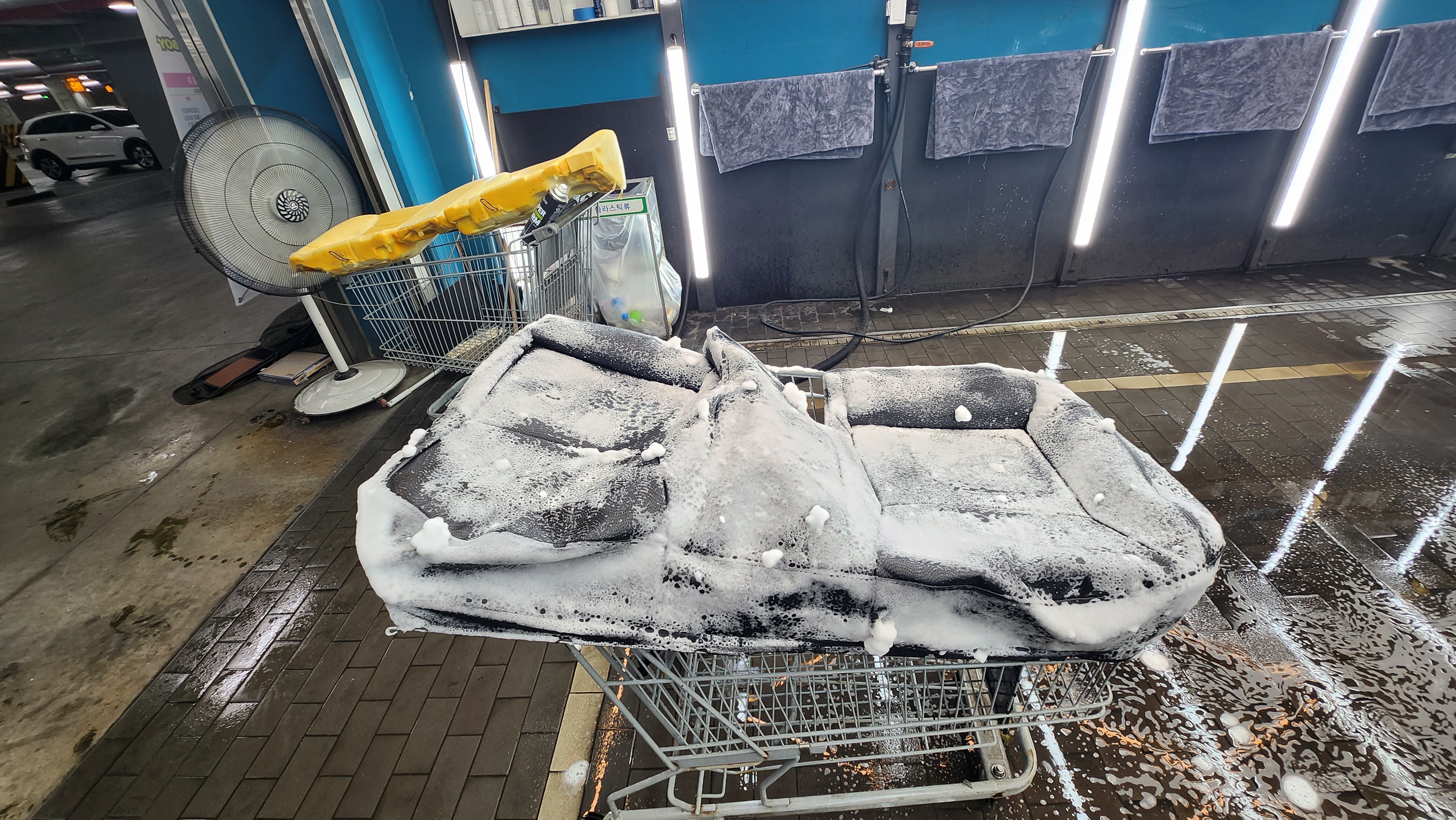 클린보이 포항이동점