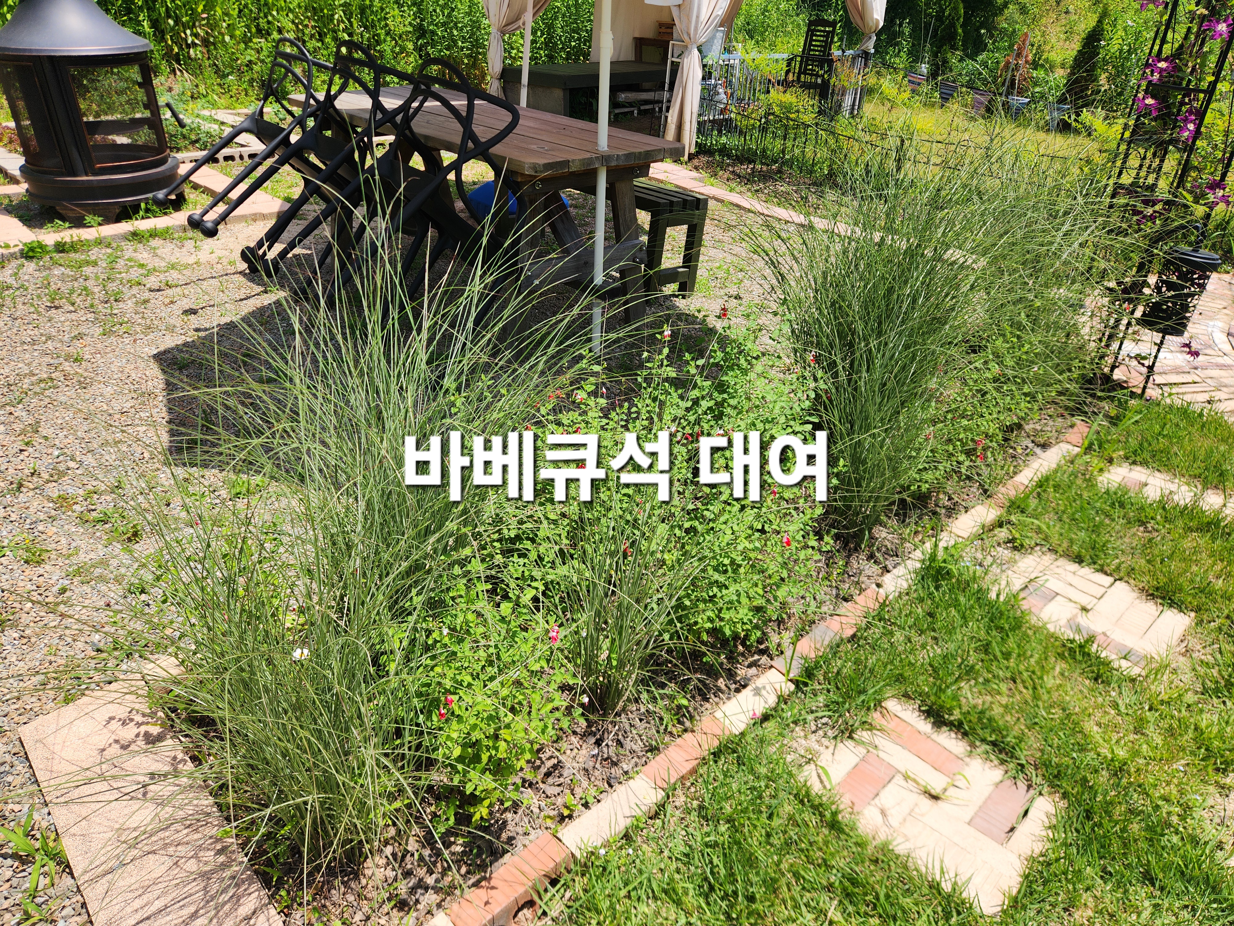 꼬사꼬사카페