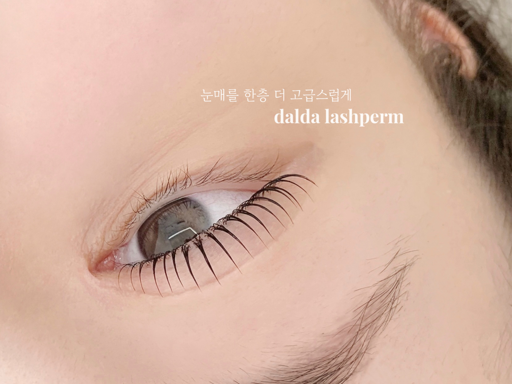 달다뷰티