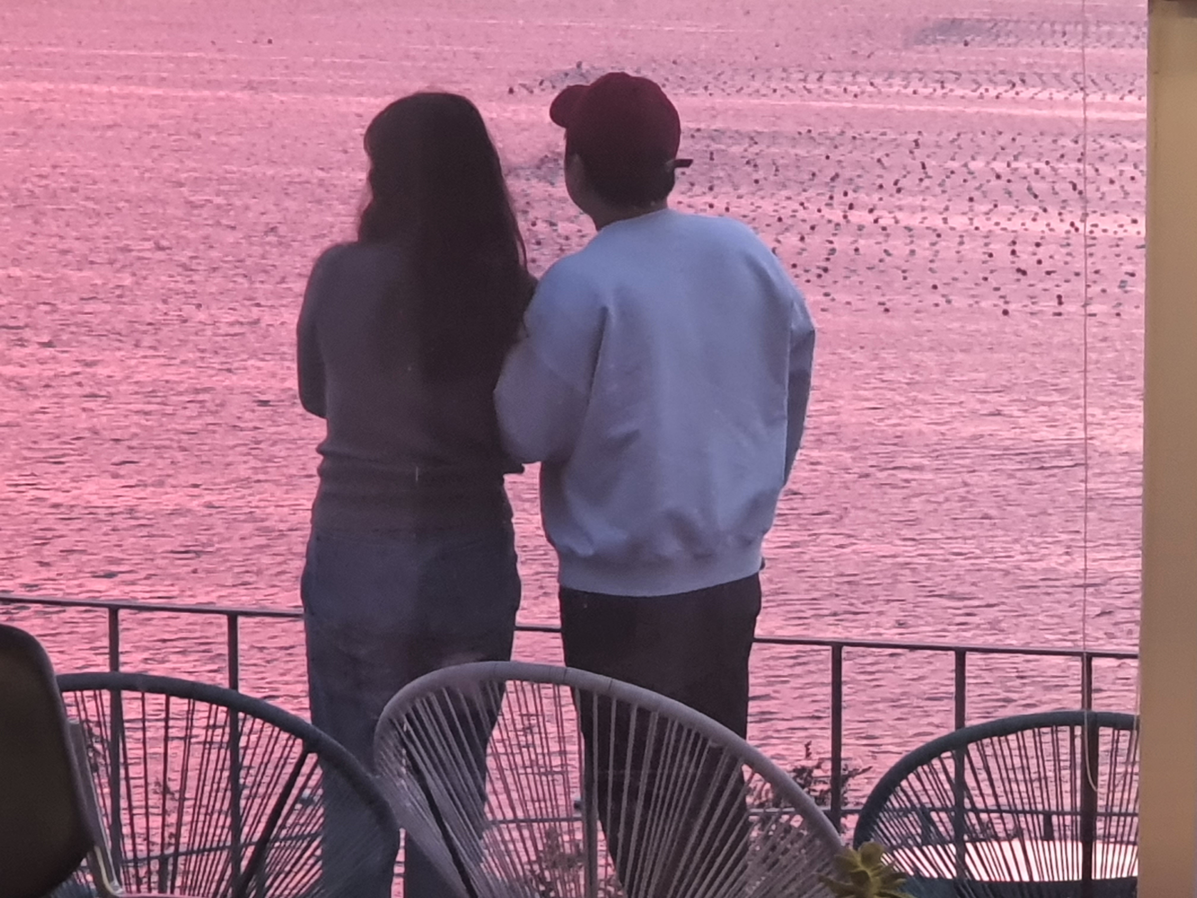 파우즈버튼