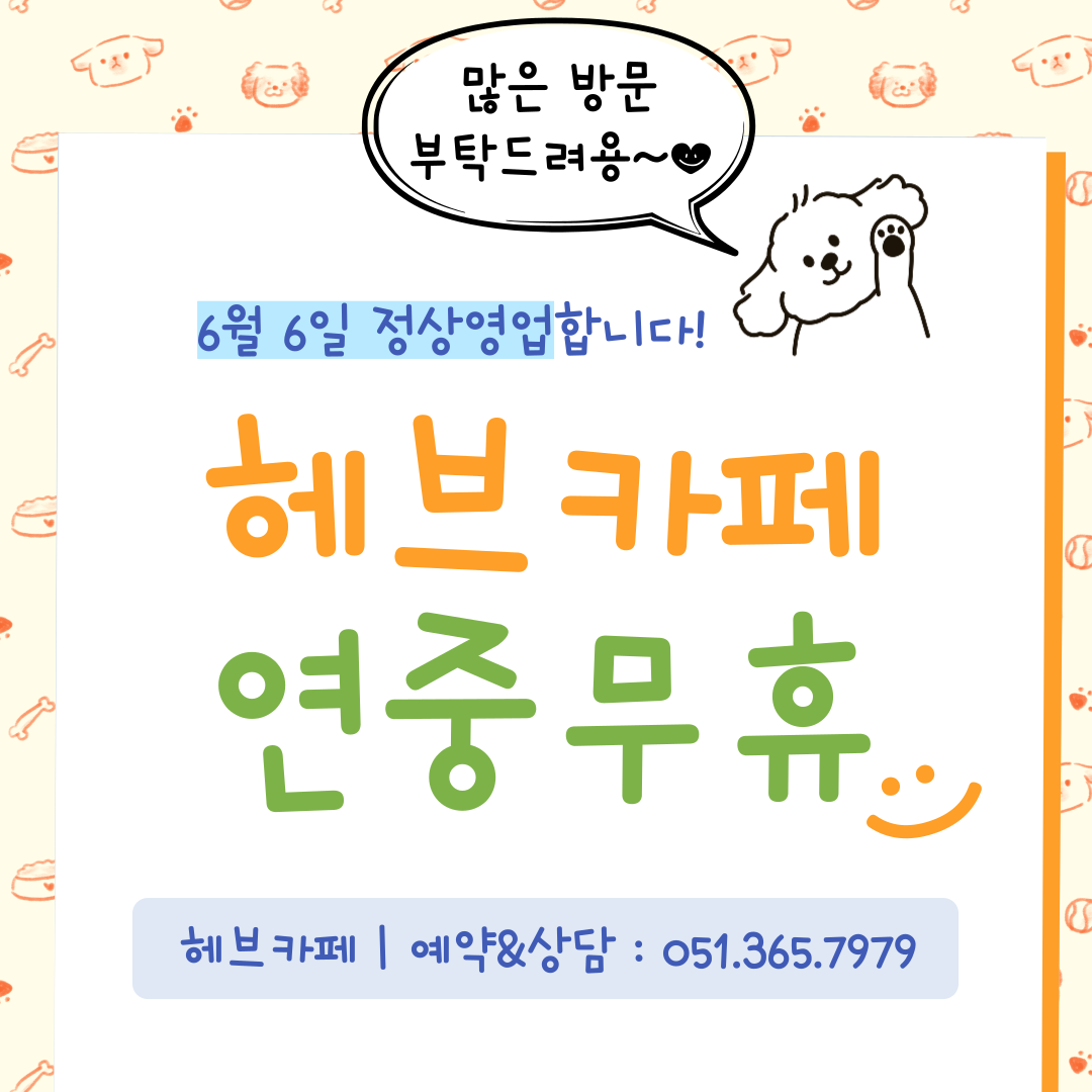 헤브카페 부산 애견맛집