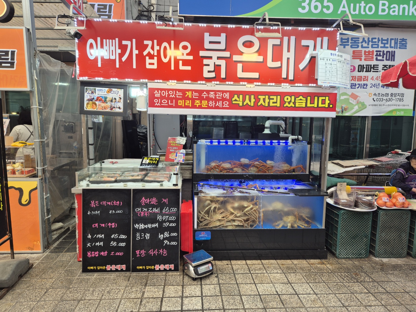 아빠가잡아온붉은대게