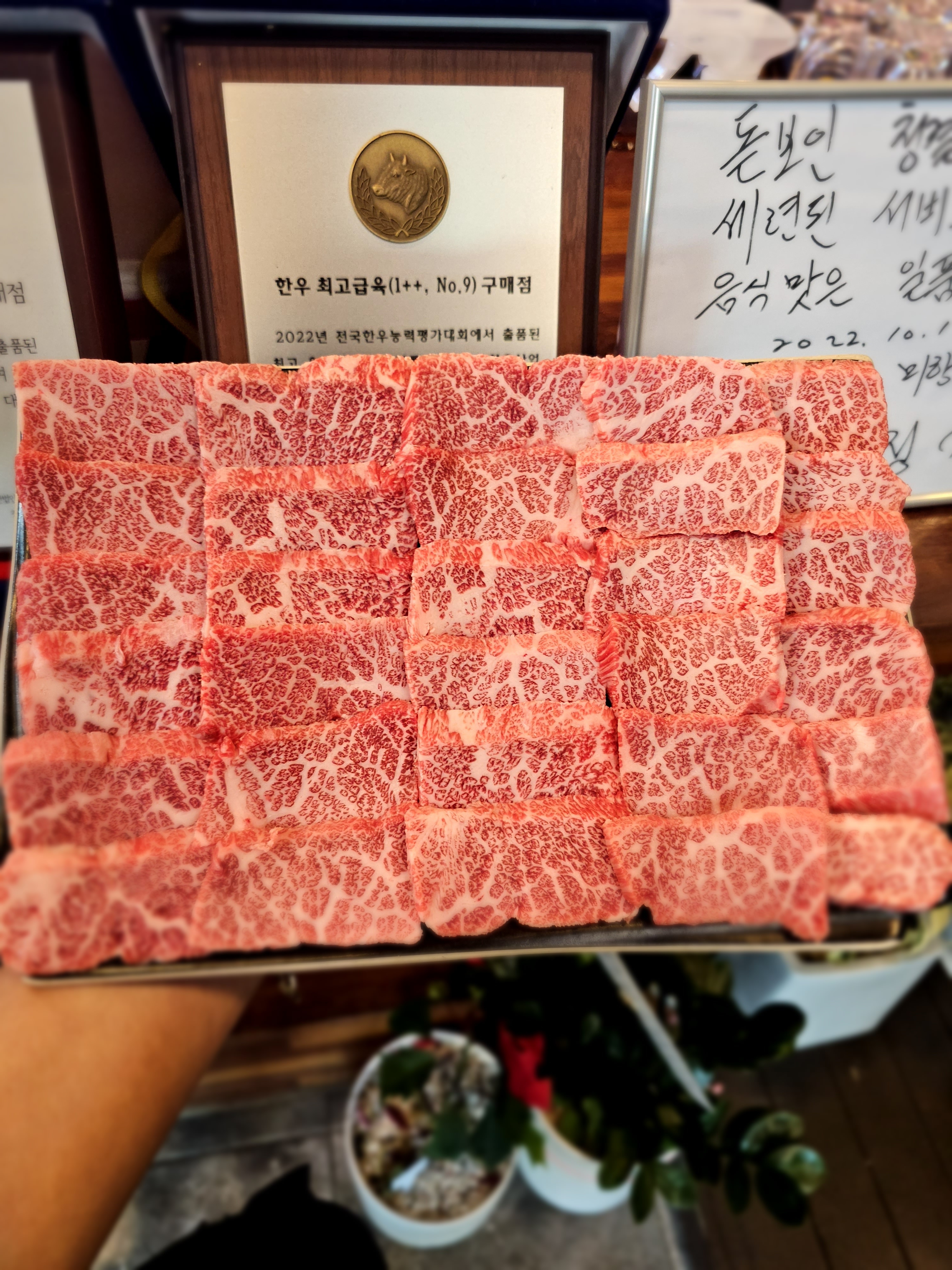 지노목장무선점