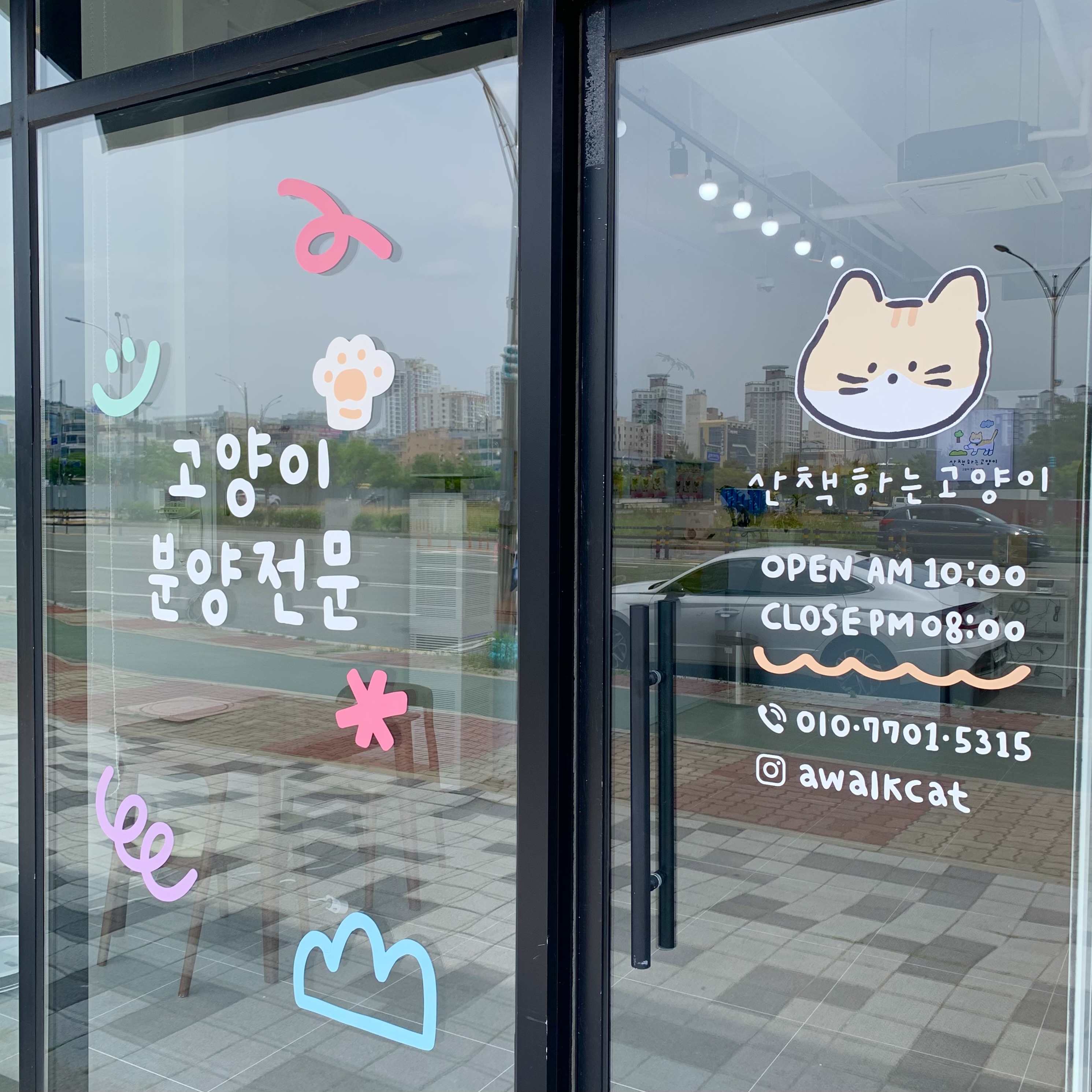 산책하는 고양이