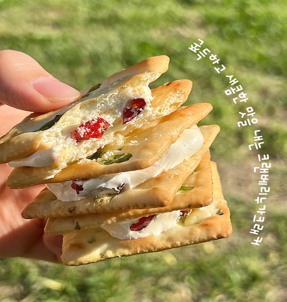 월리24번지 경상 애견맛집