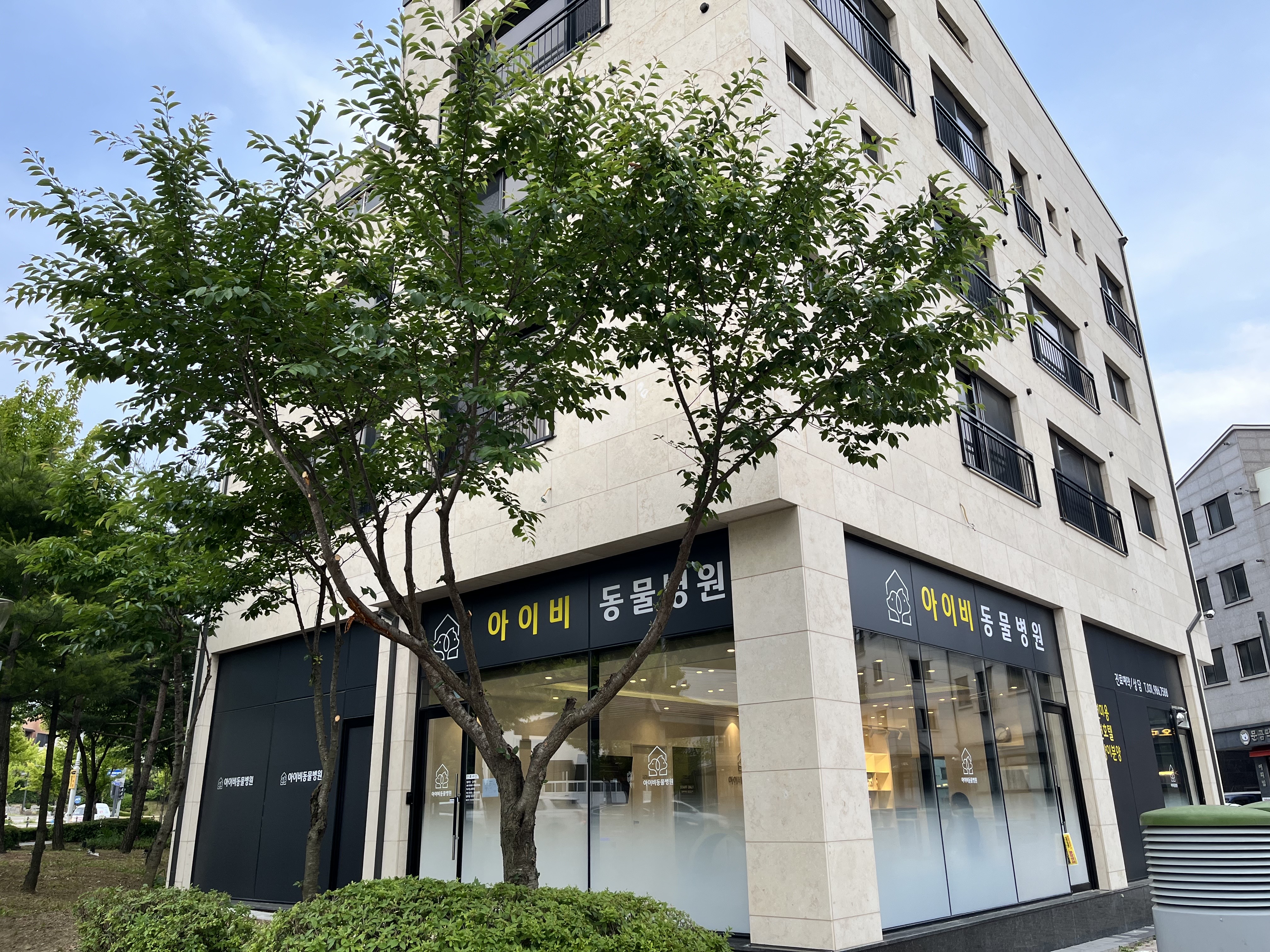 아이비동물병원 대표 이미지