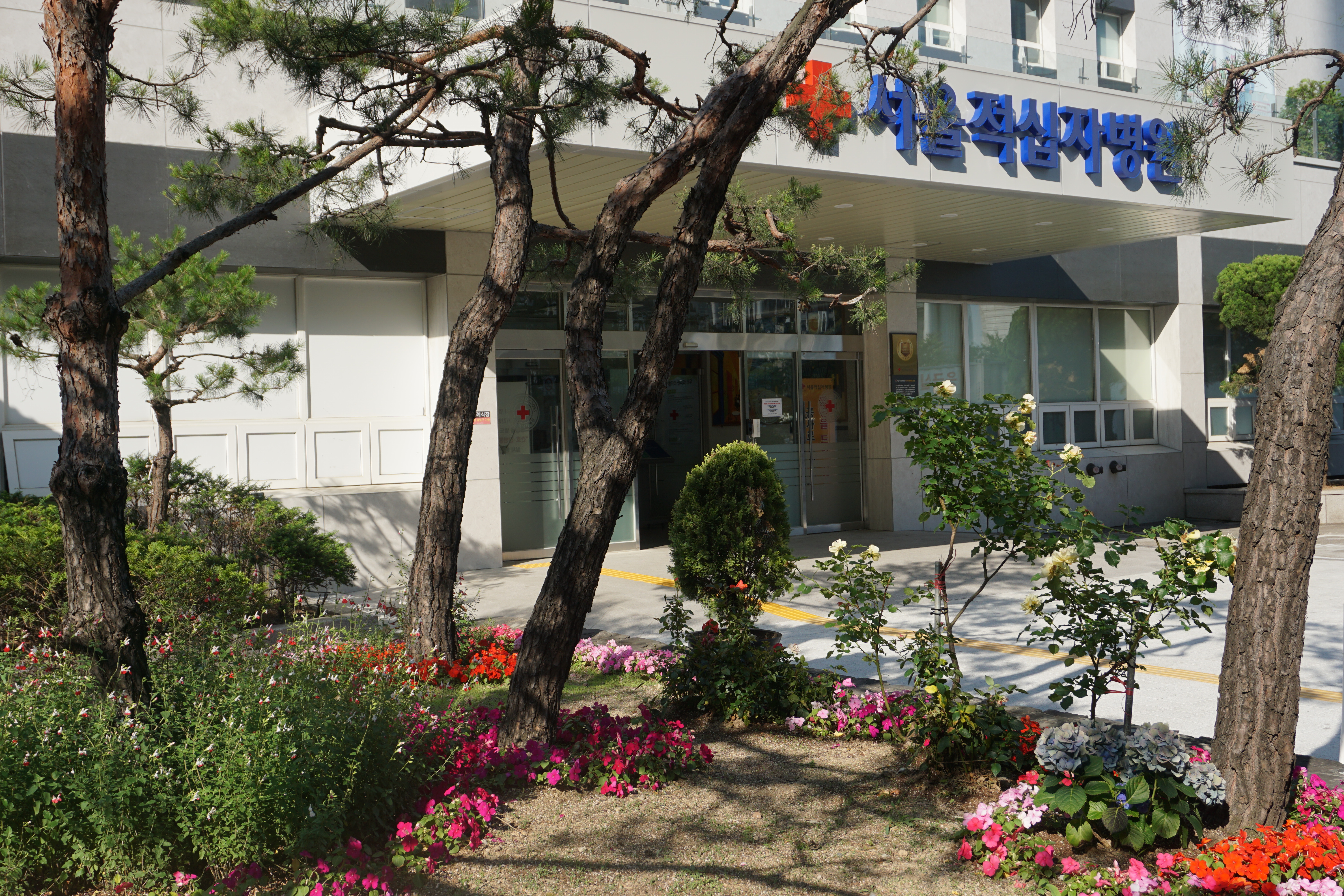 서울적십자병원 대표 이미지