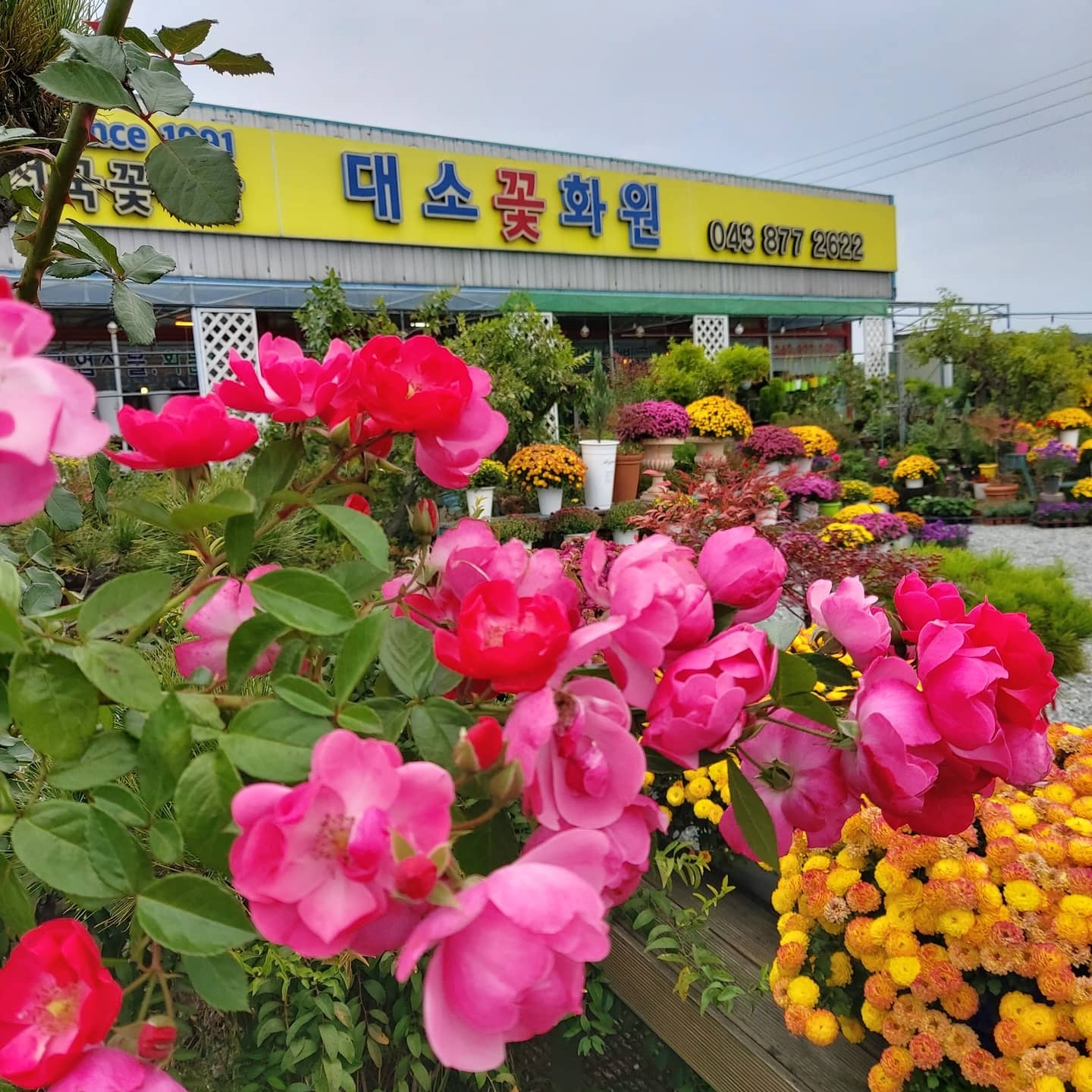대소꽃화원
