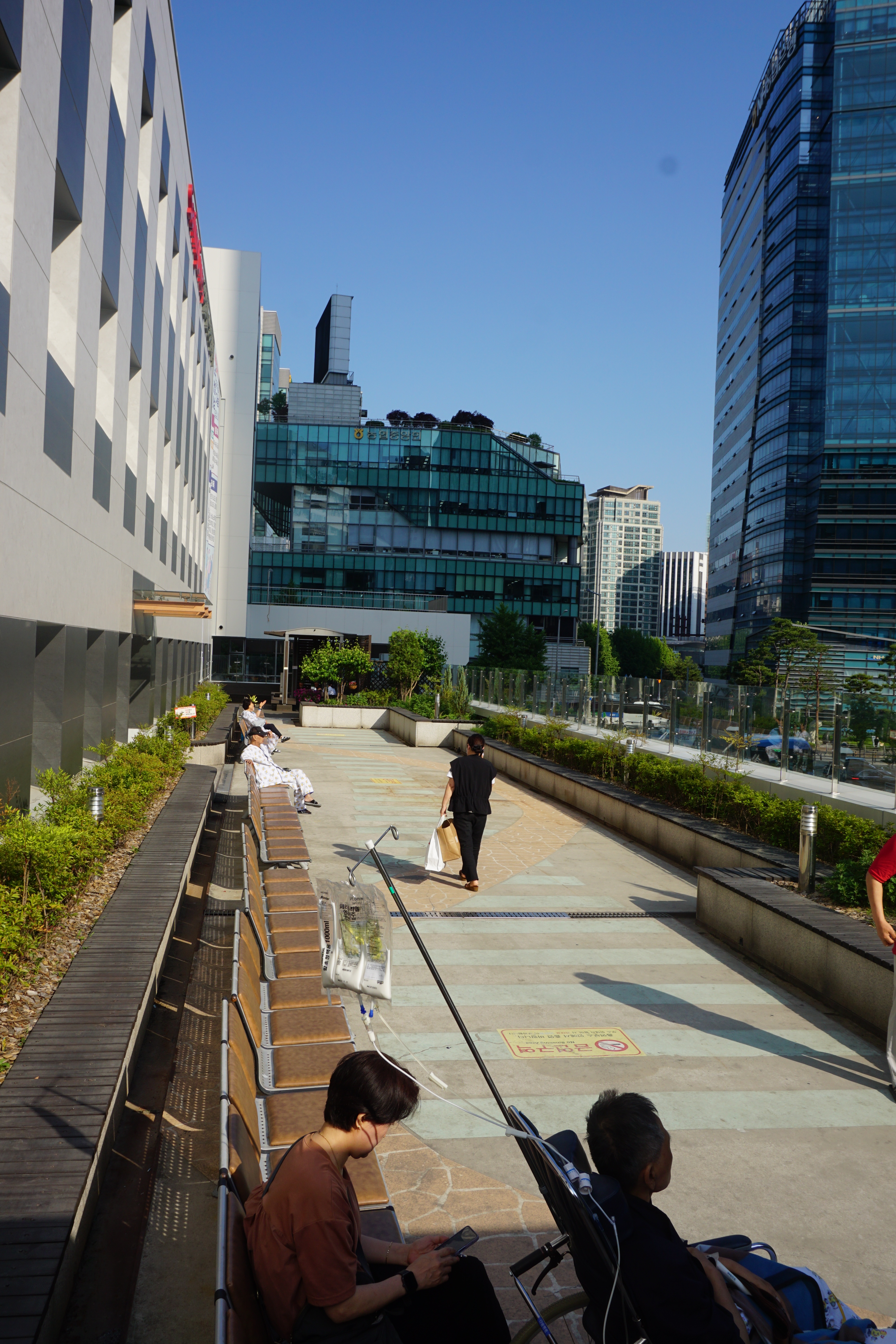 서울적십자병원 대표 이미지