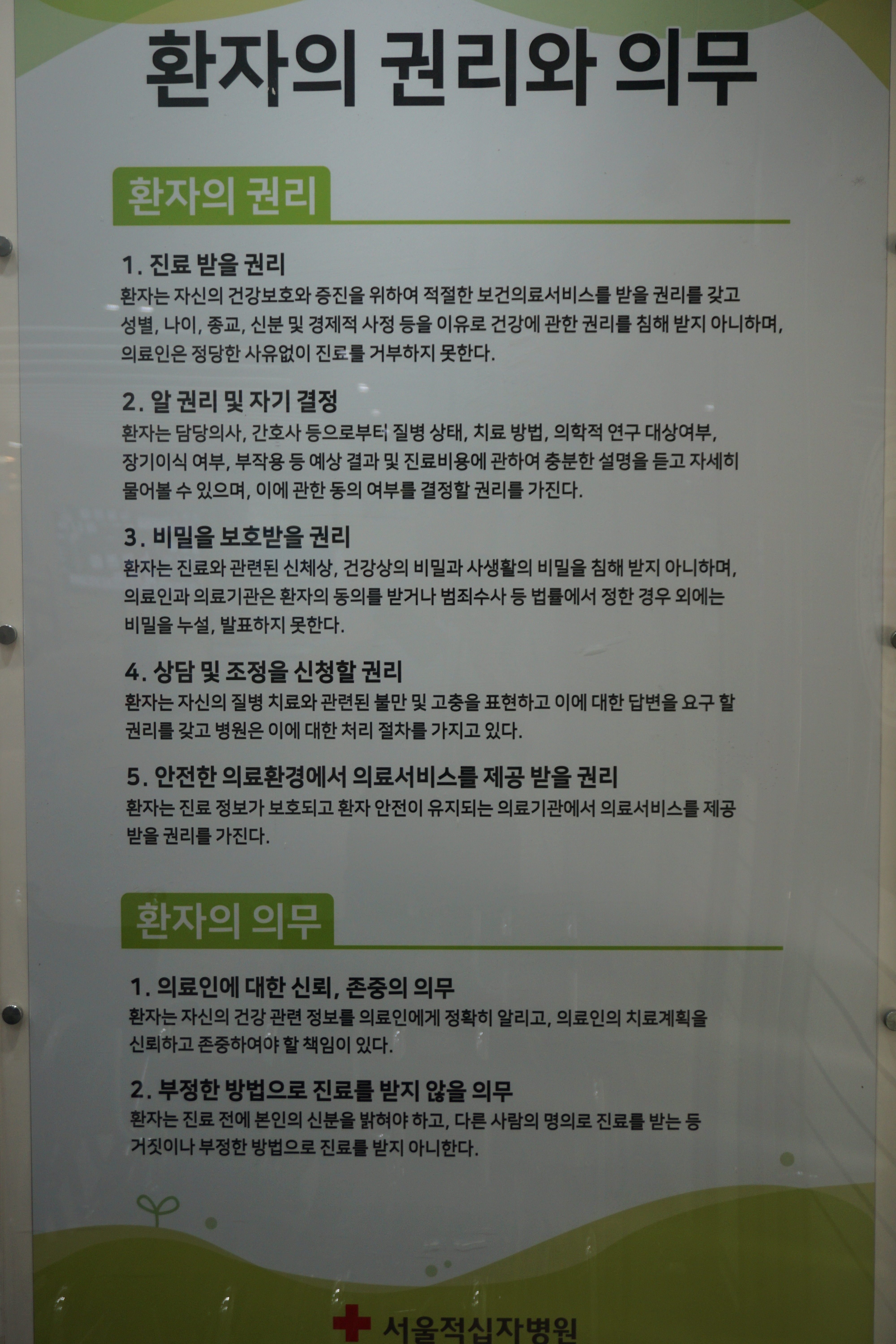 서울적십자병원 대표 이미지