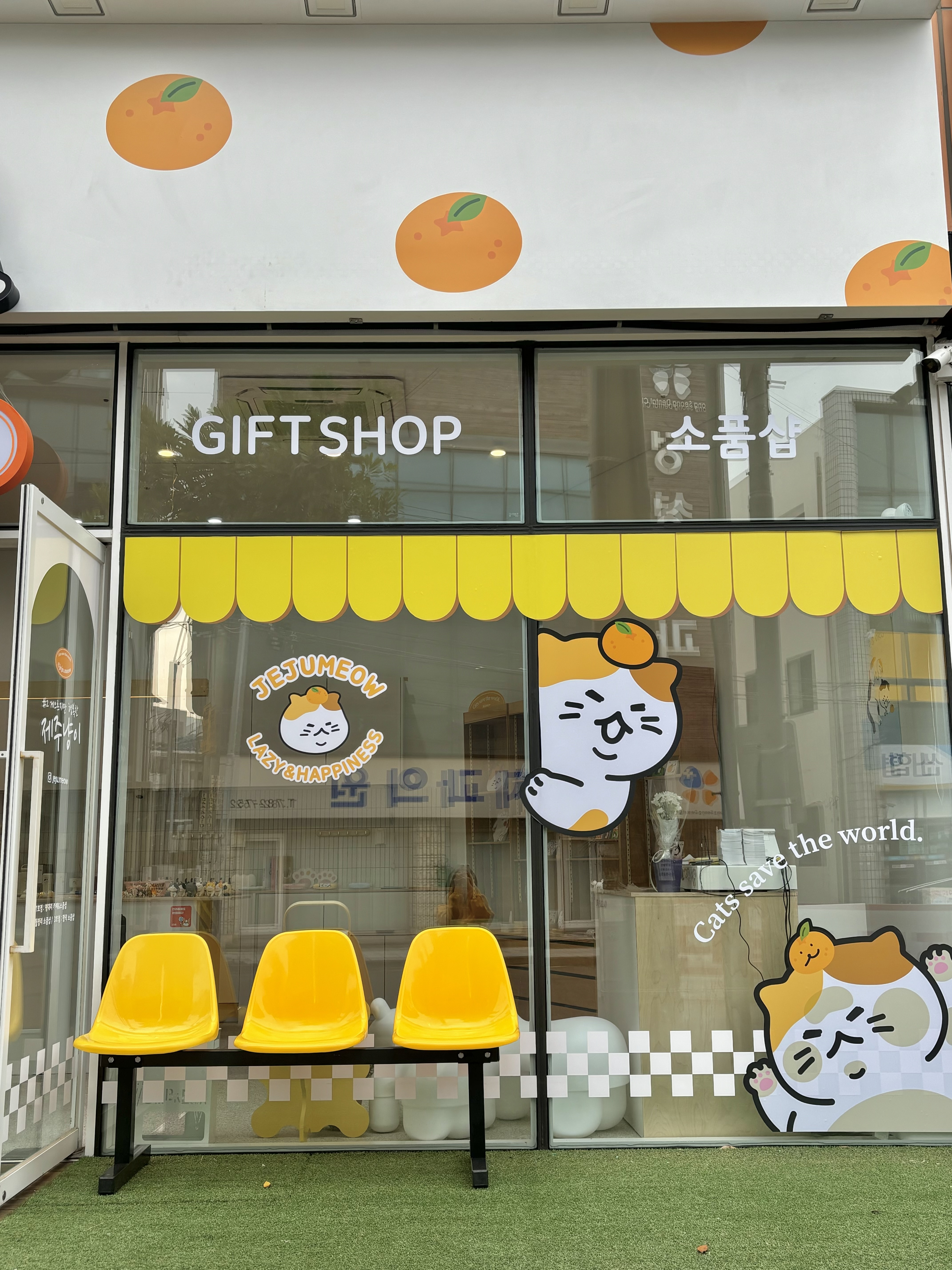 제주냥이 함덕점