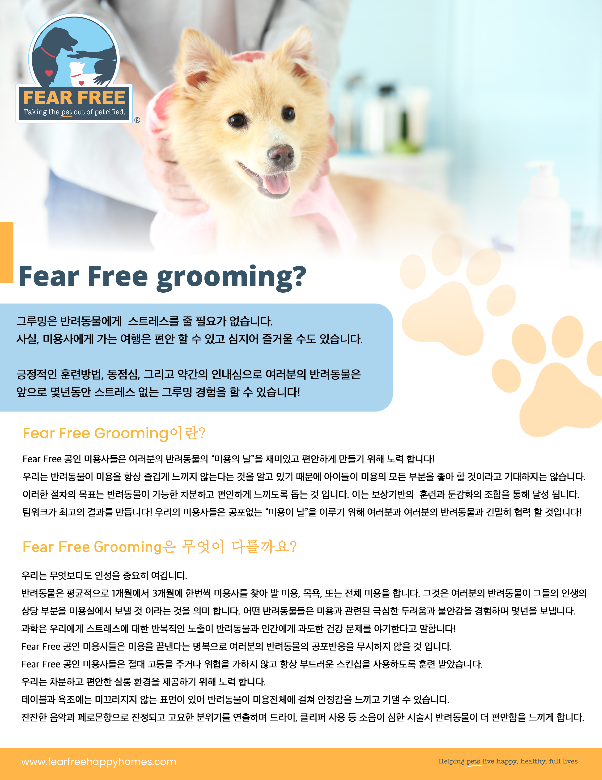 개릿뷰티