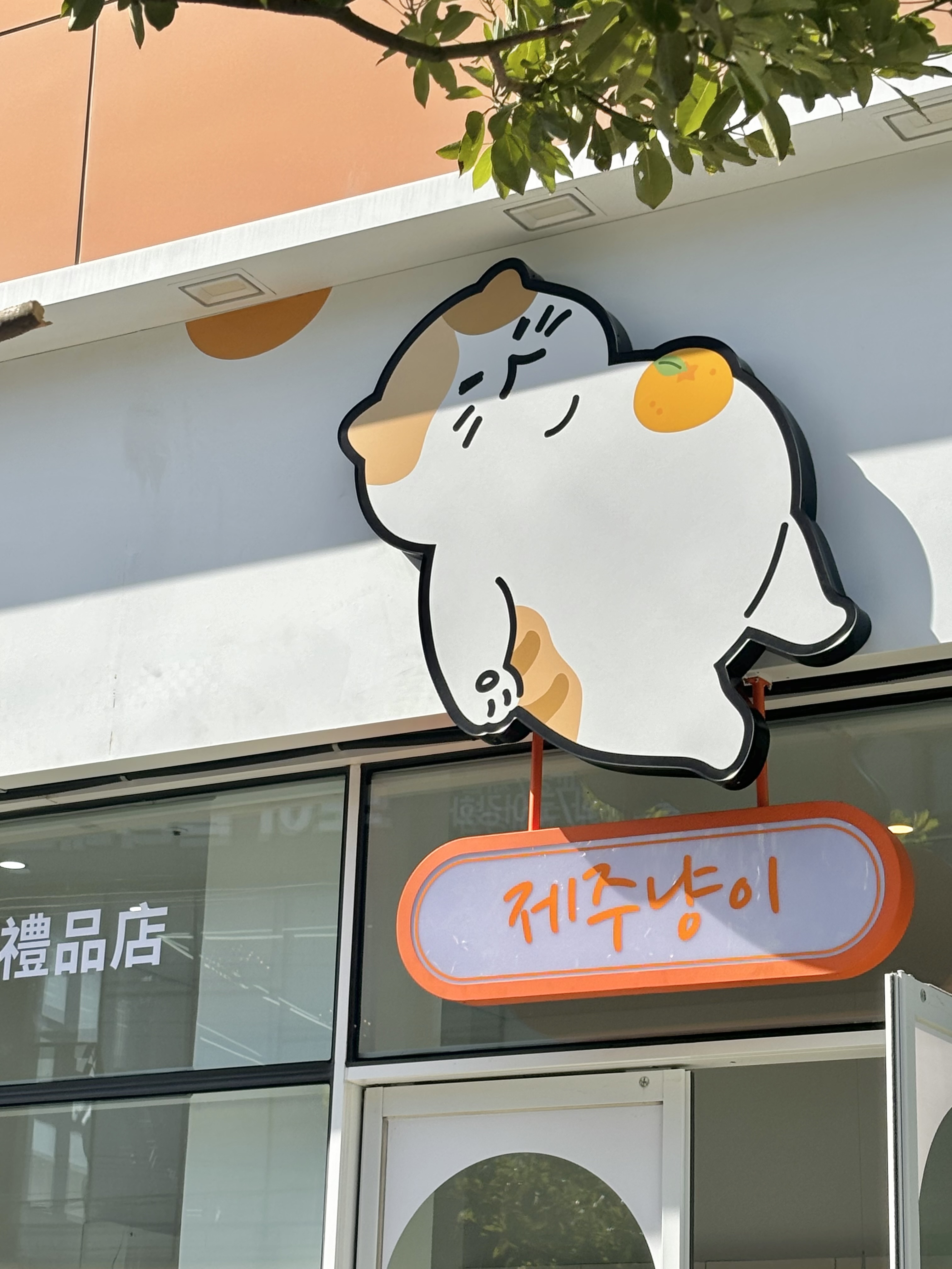 제주냥이 함덕점