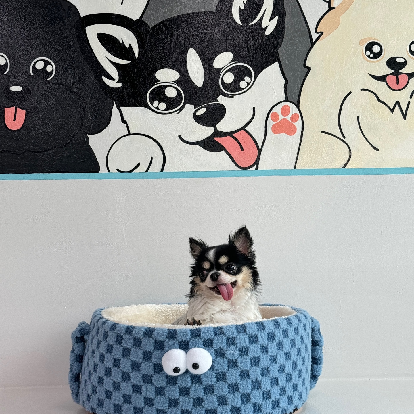 멍타쿠 대표 이미지