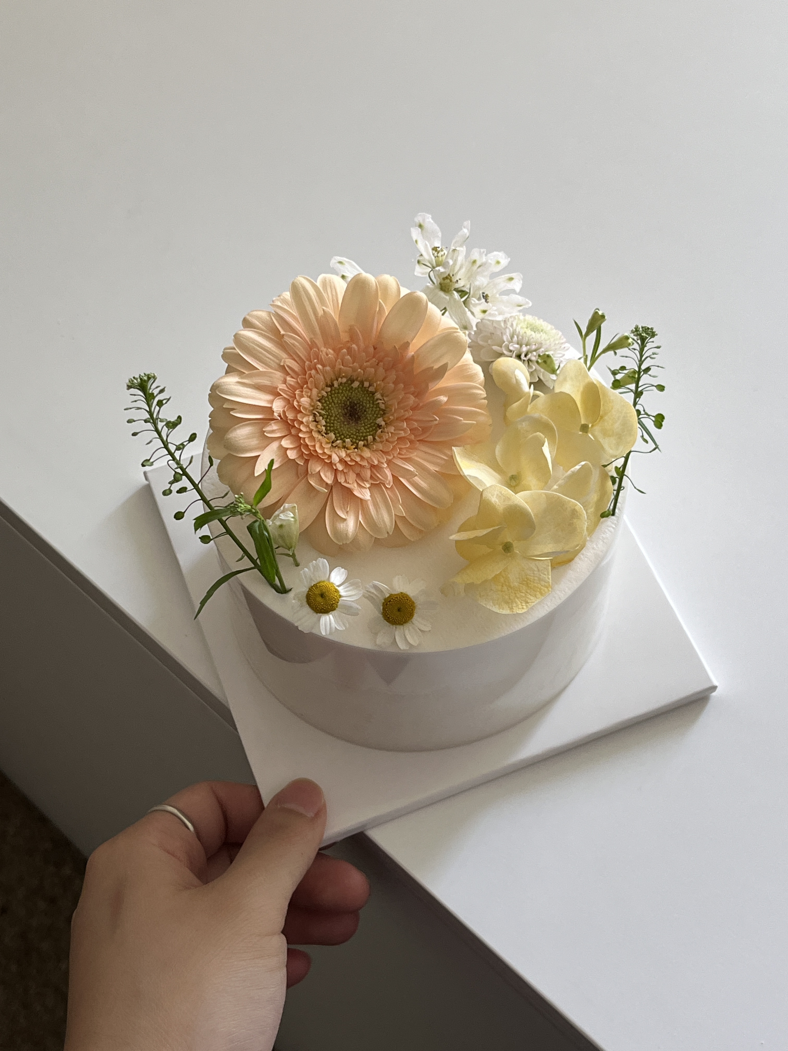 코니스케이크
