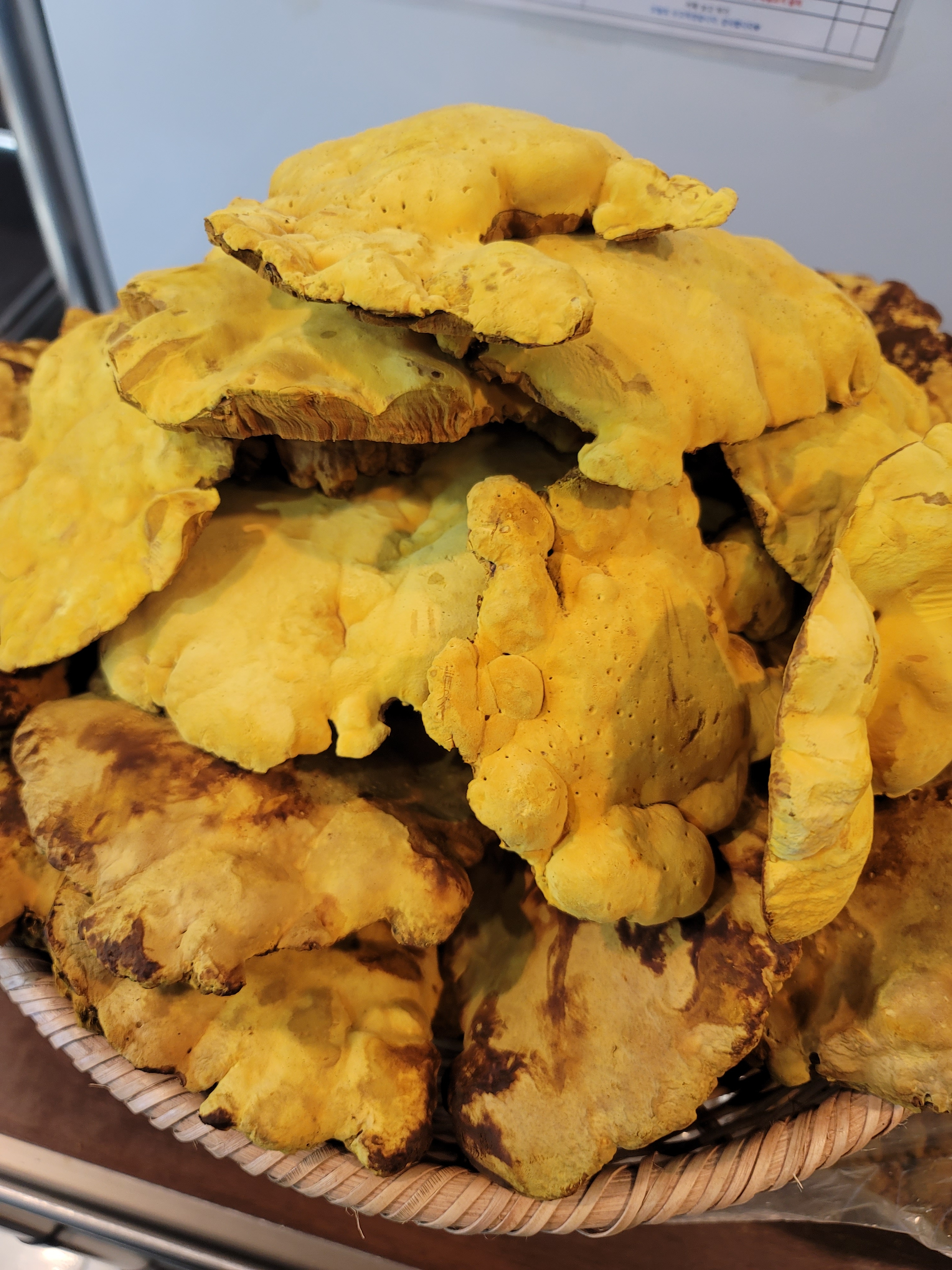 하순옥황금안동국시 목동본점 대표 이미지