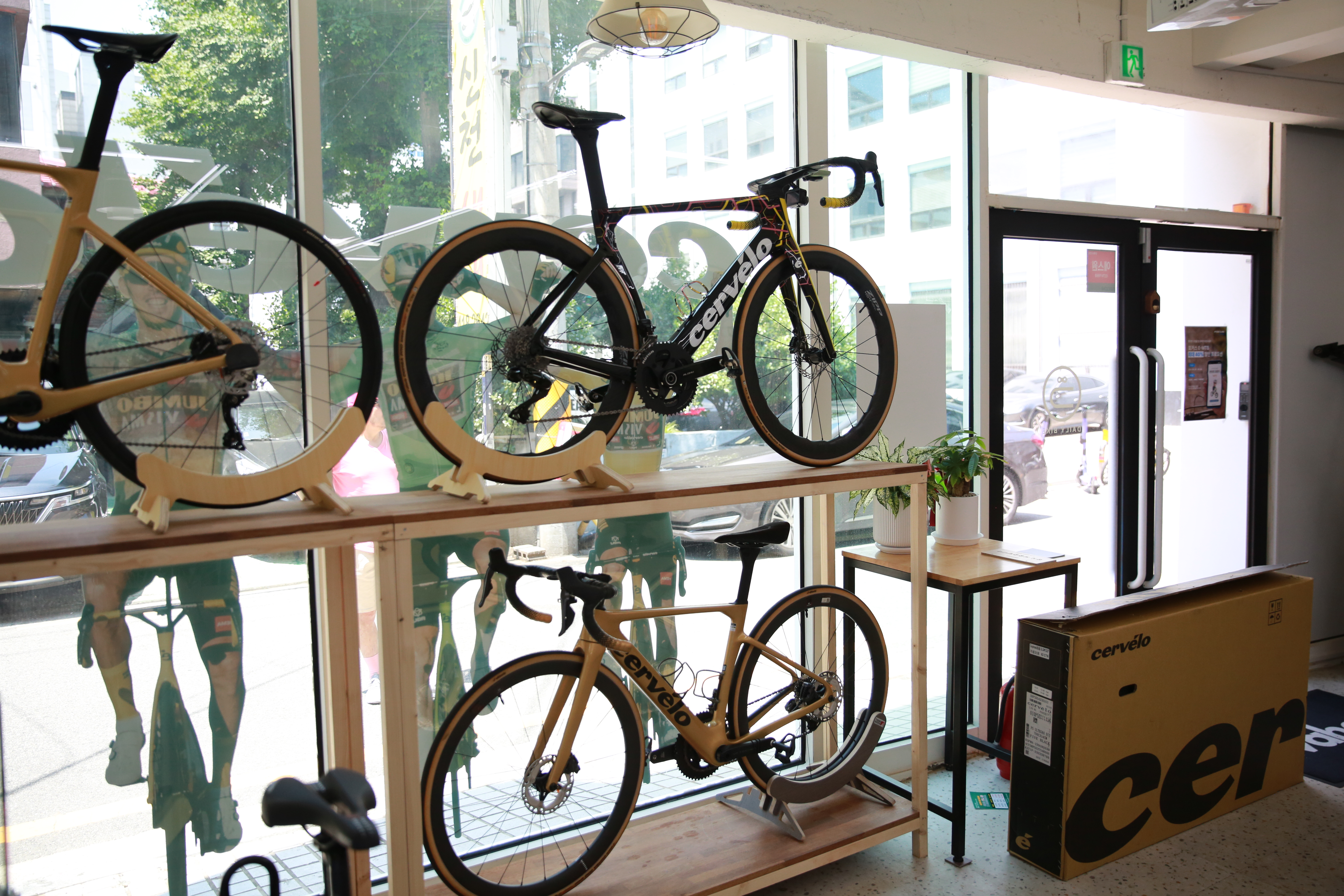 데일리바이크 대표 이미지