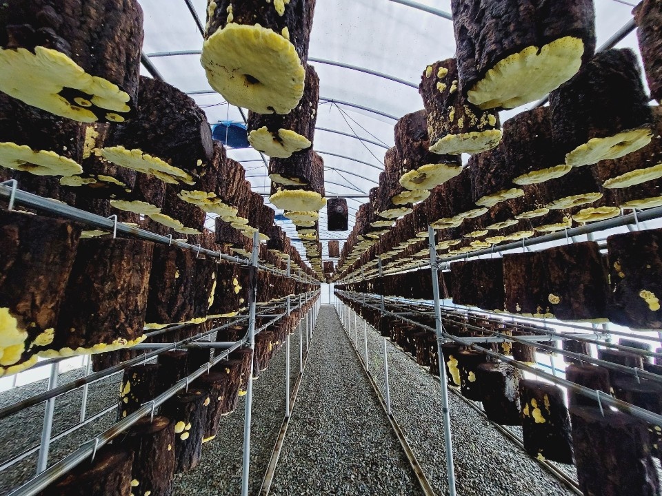 하순옥황금안동국시 목동본점 대표 이미지