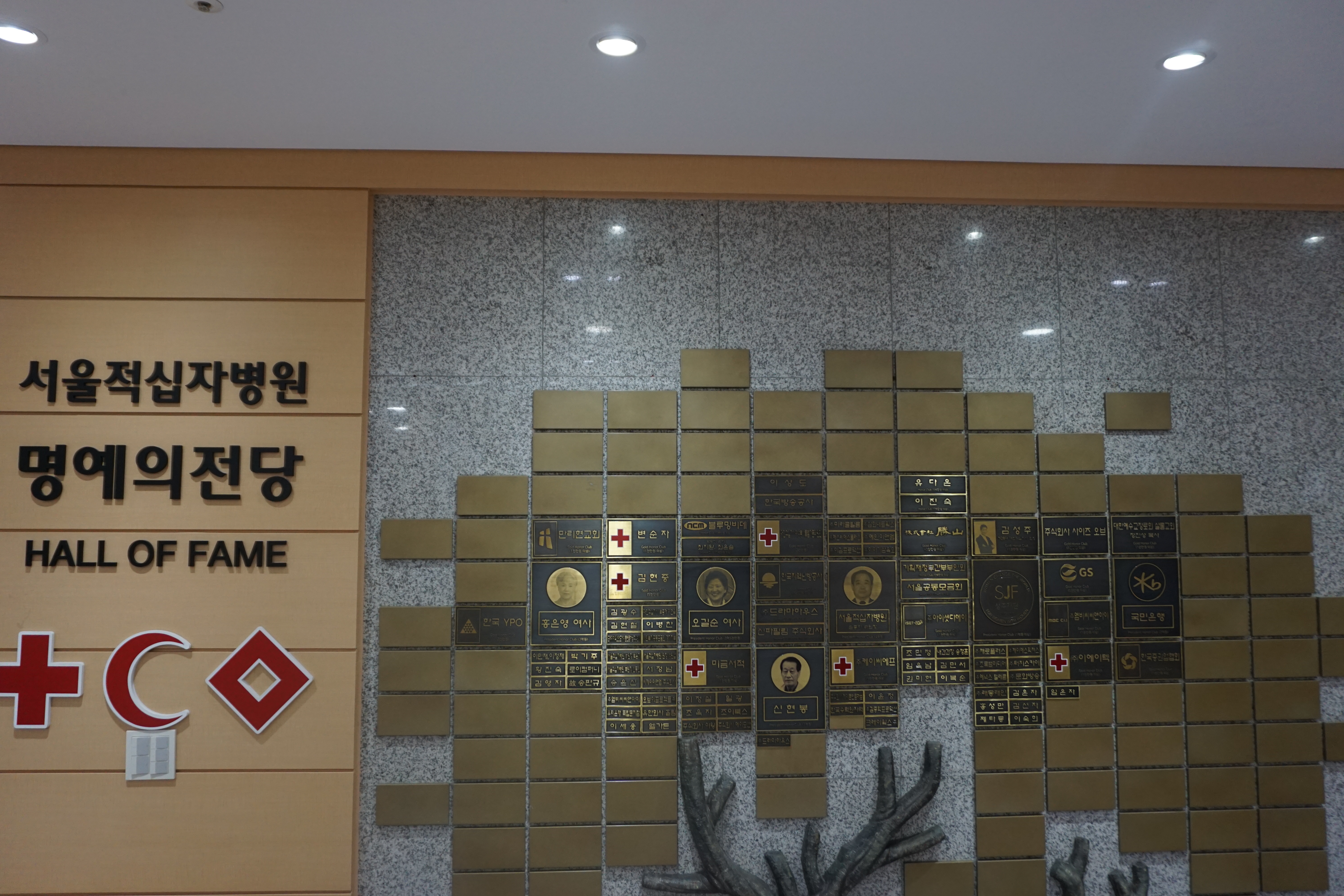 서울적십자병원 대표 이미지