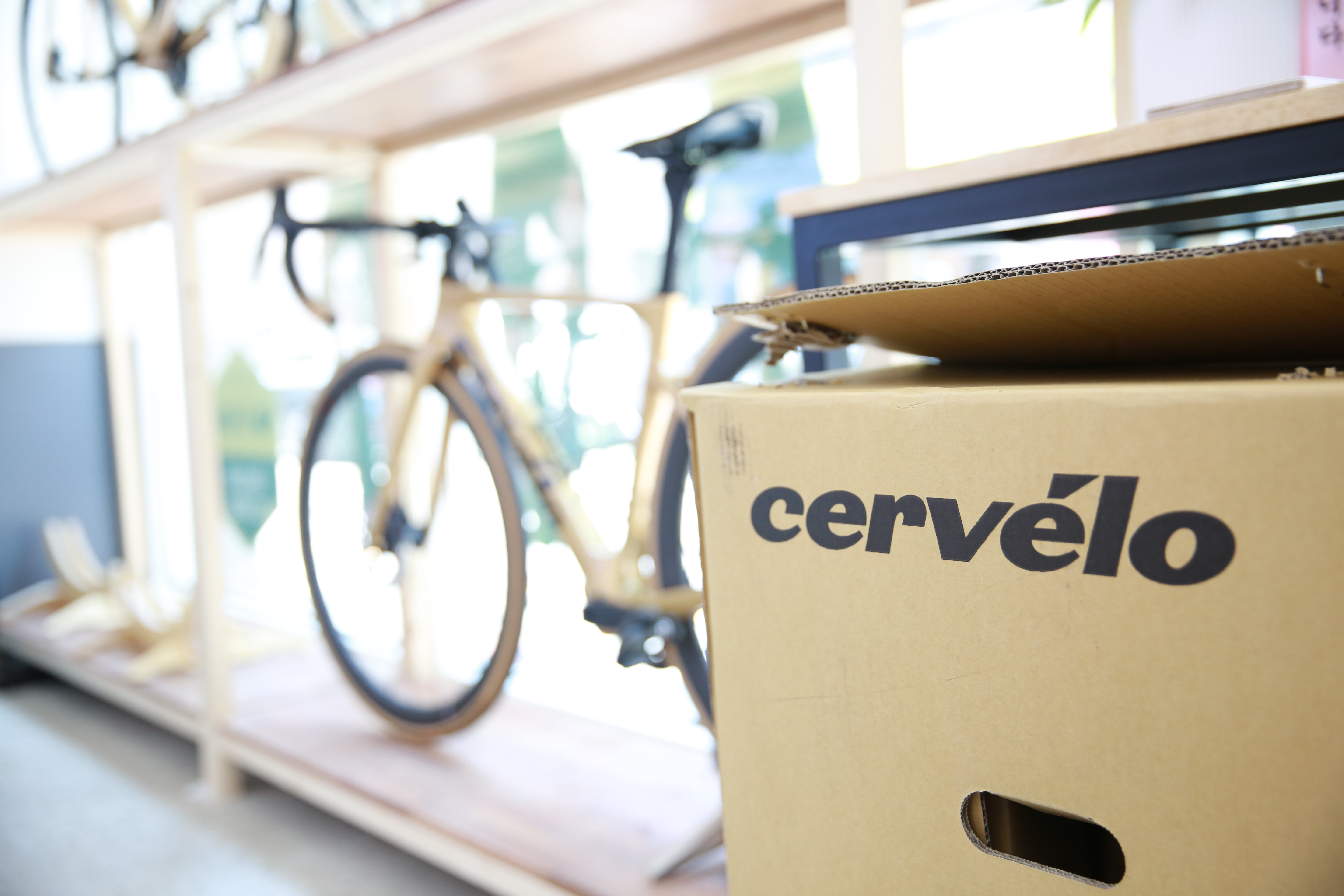 데일리바이크 대표 이미지