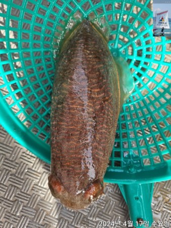 청년수산