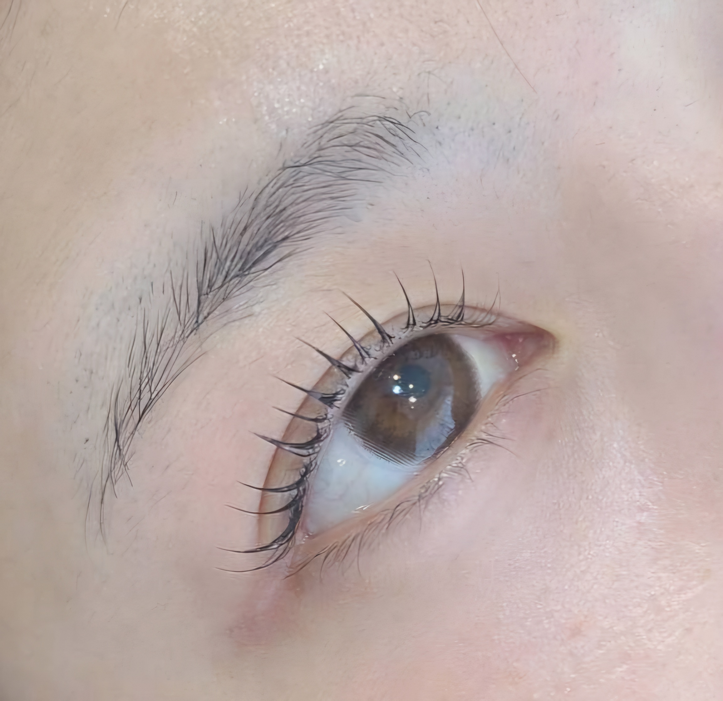 탑브로우&네일 대표 이미지