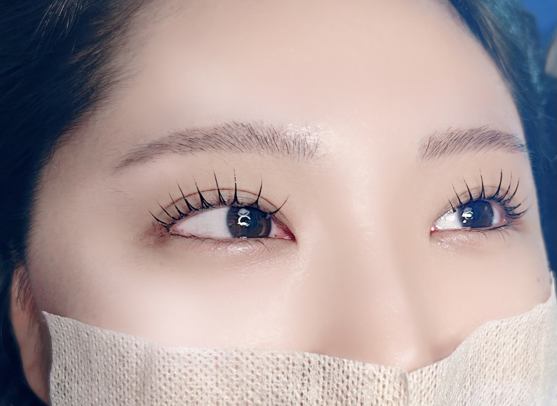 브로아