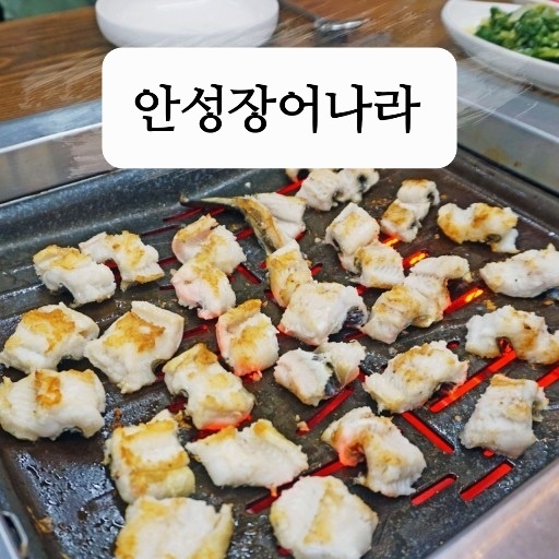 안성장어나라