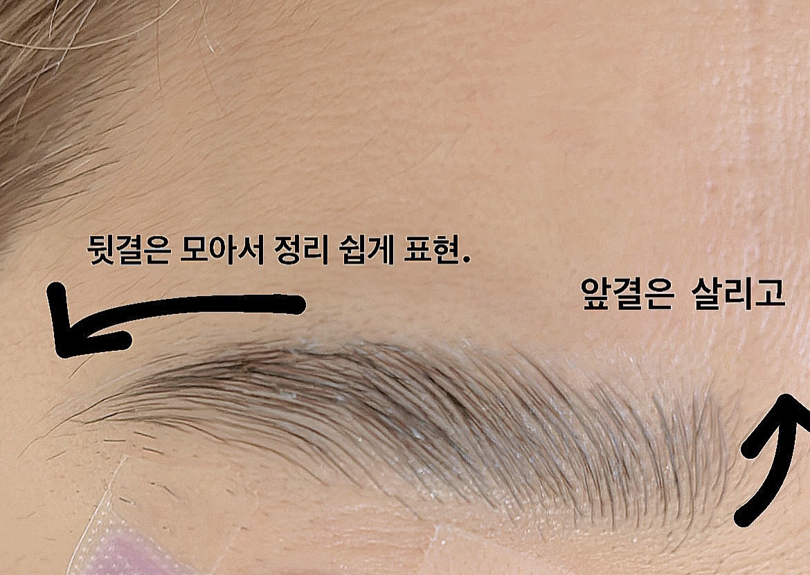 브로아