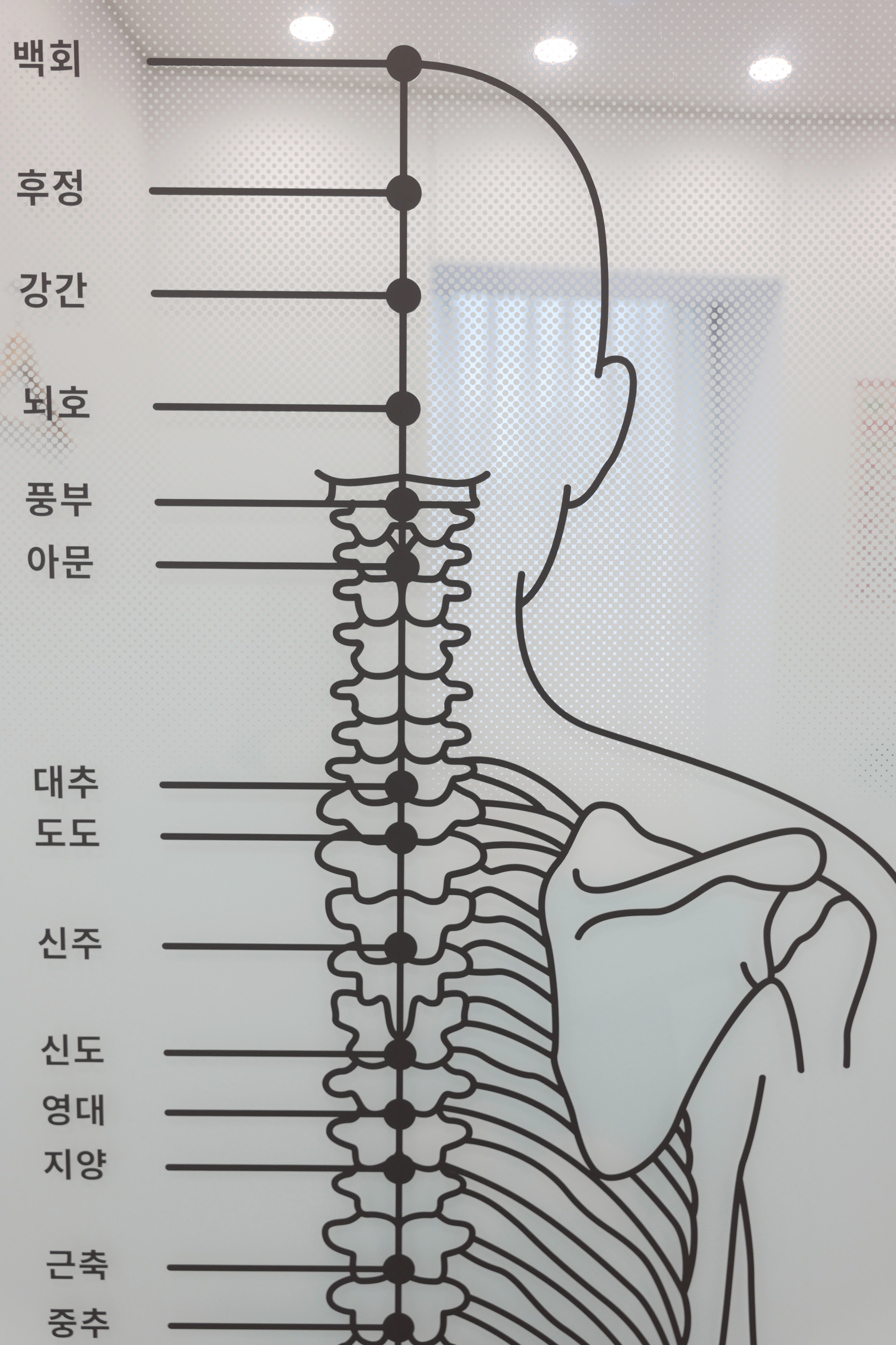 본라인한의원 을지로 대표 이미지