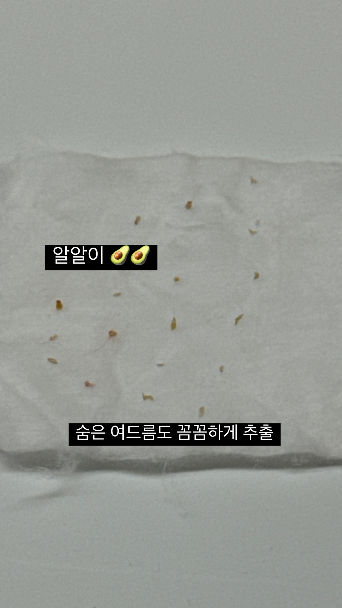 아보르스킨케어