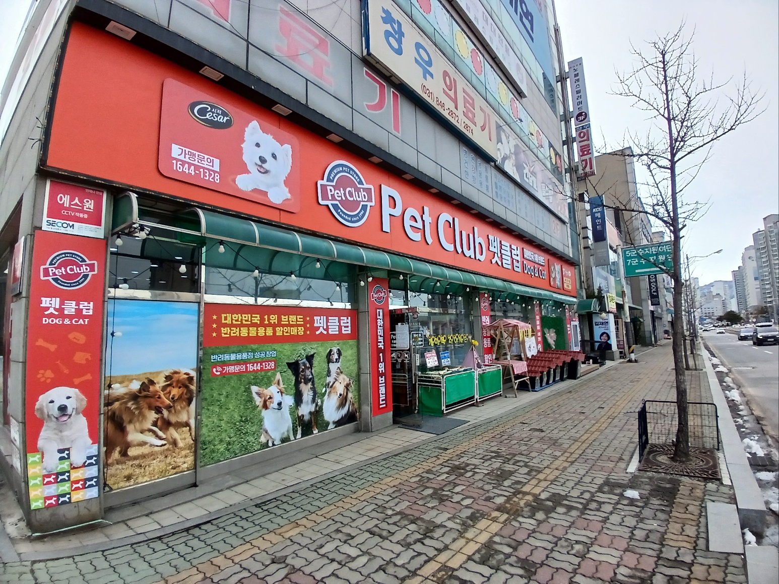 애견용품전문 추천 경기 의정부시 지역 우수업체 강아지용품 애완용품 애견용품점 반려동물용품점 강아지스카프 애견용품샵 펫클럽 의정부점