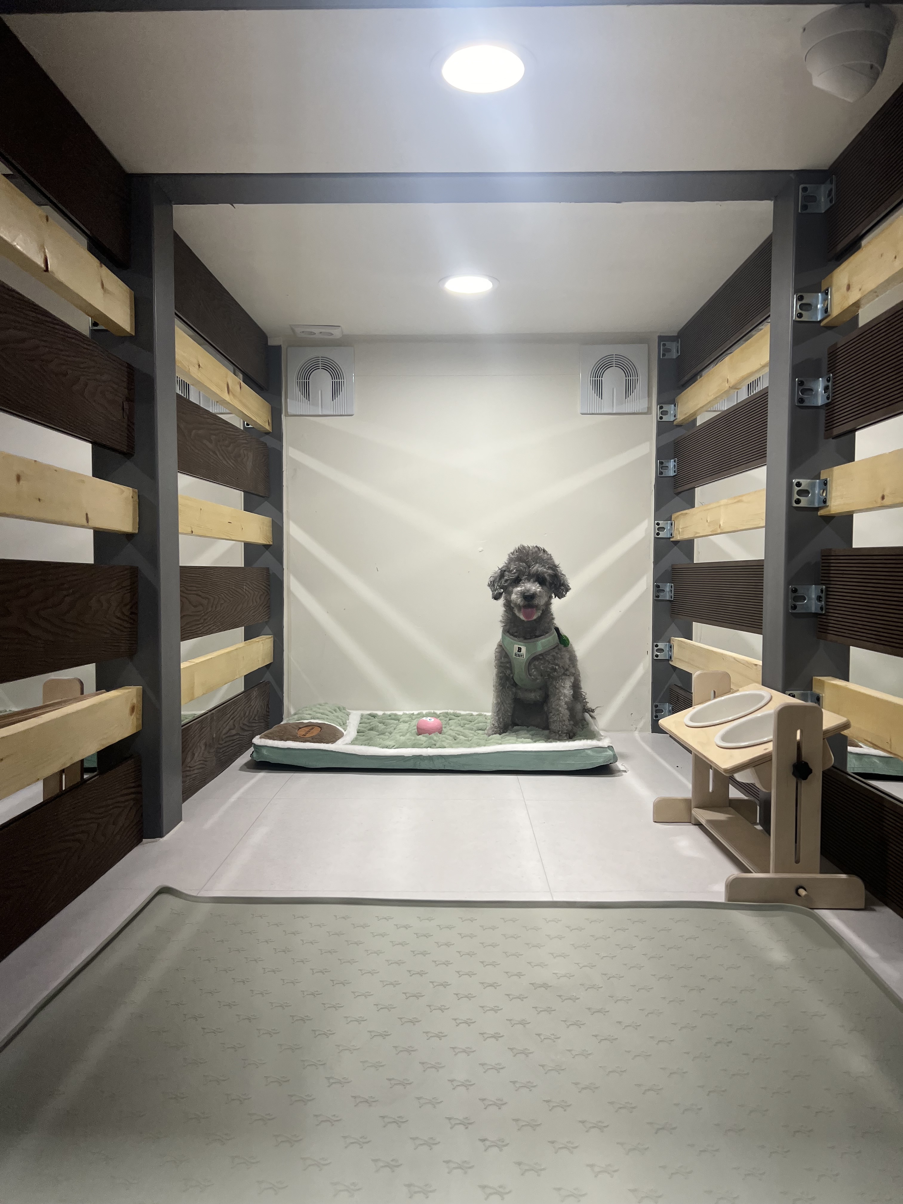 호텔 독스 대표 이미지