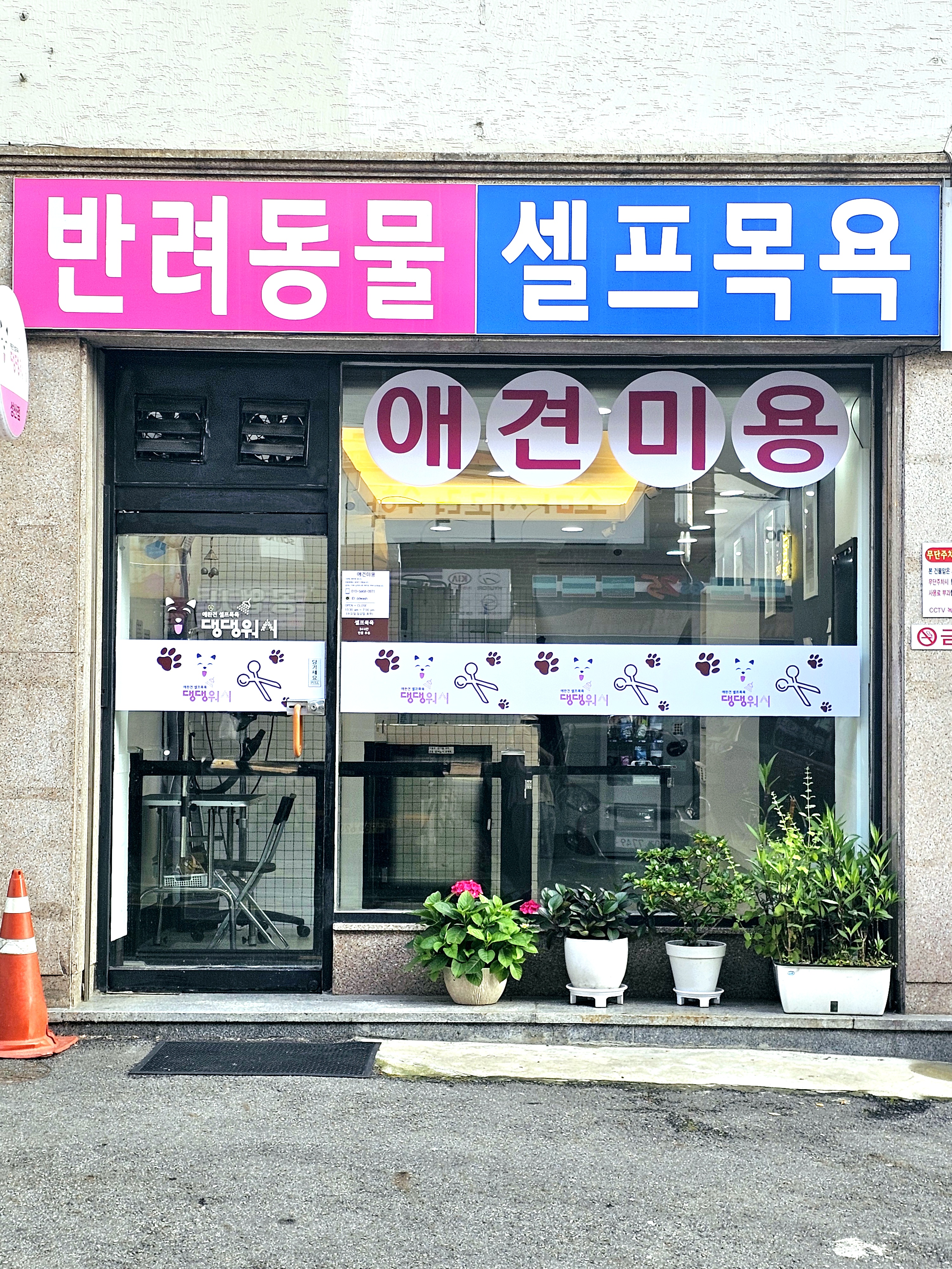 댕댕워시 대표 이미지