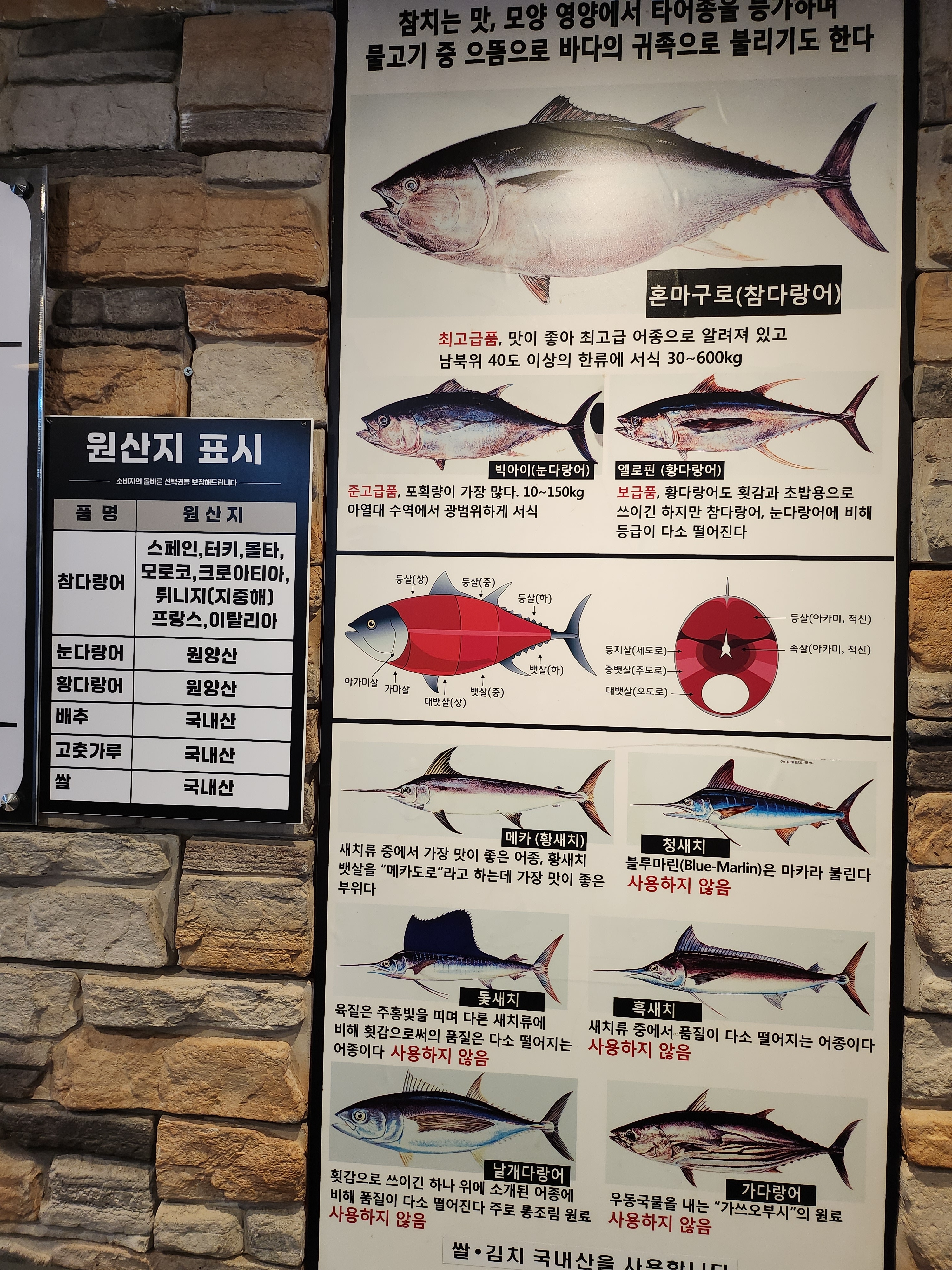 권참치