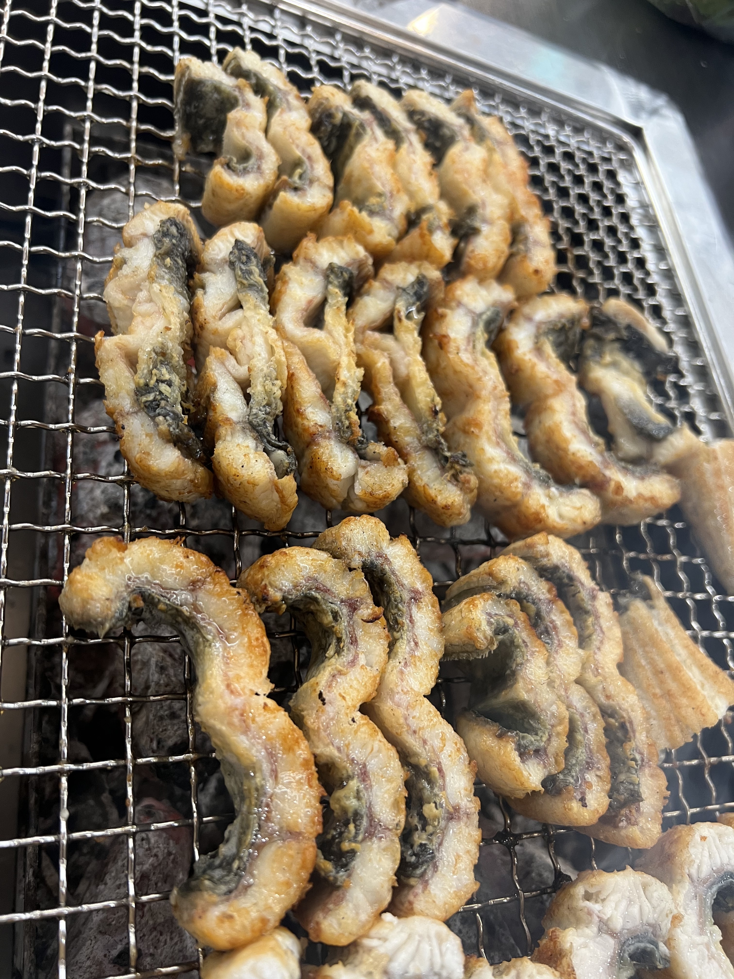 장어나들이