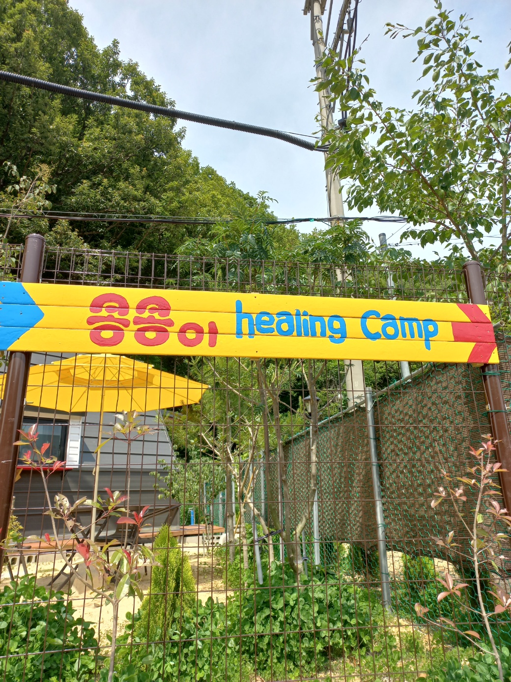 콩콩healingcamp