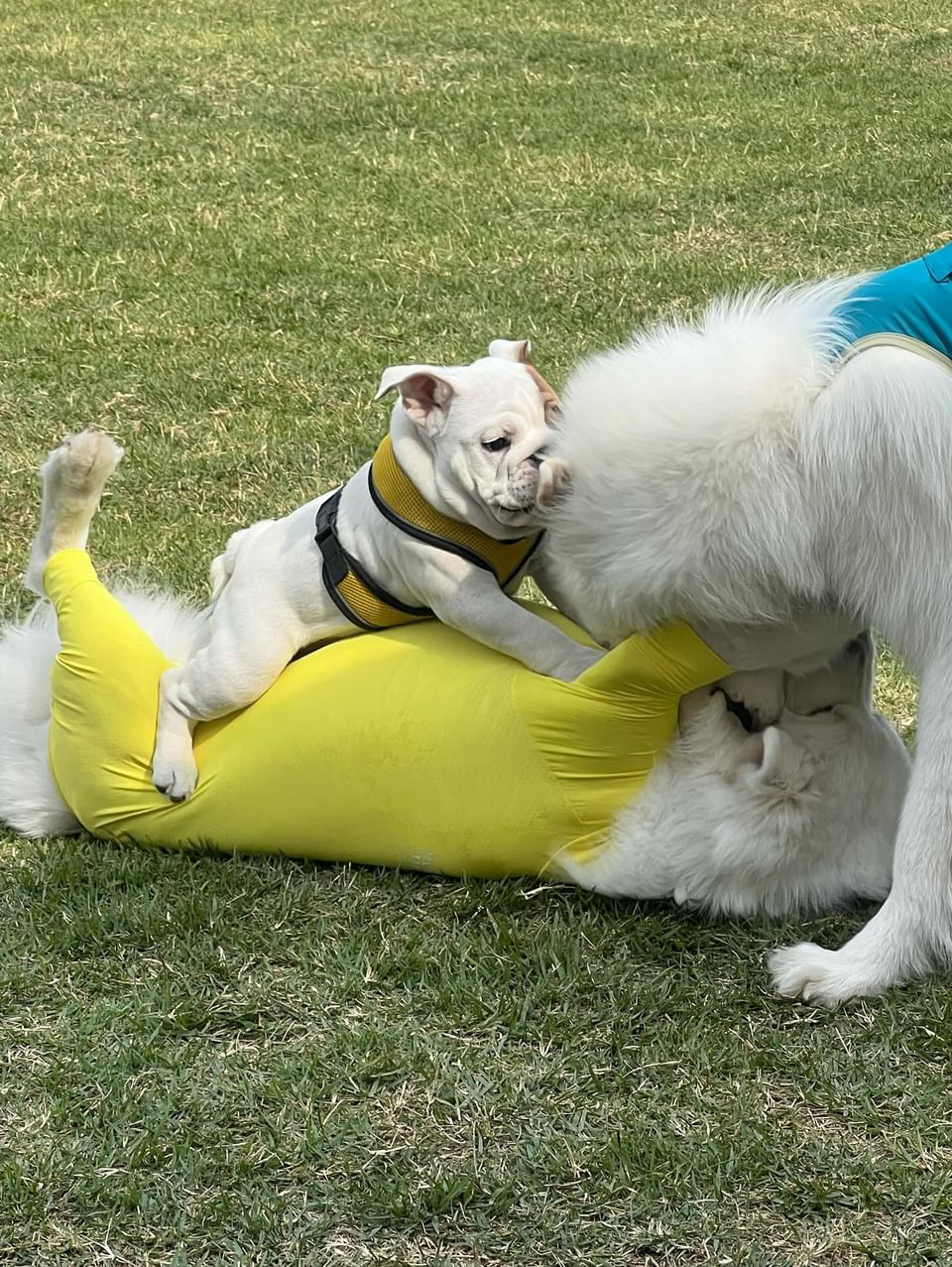 멍라운지