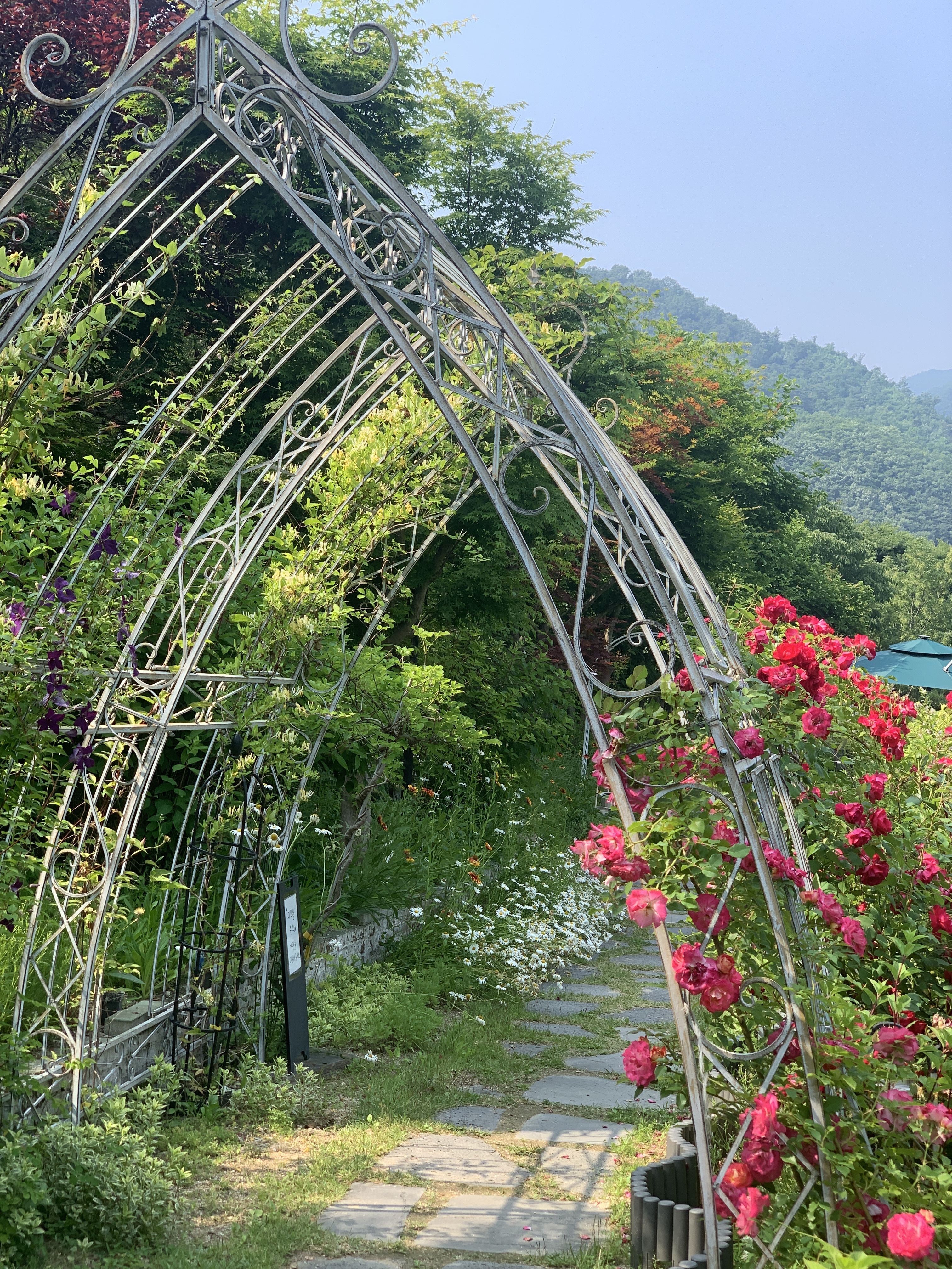타샤의정원251
