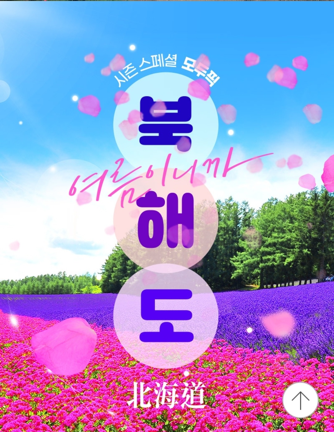 마이스토리투어