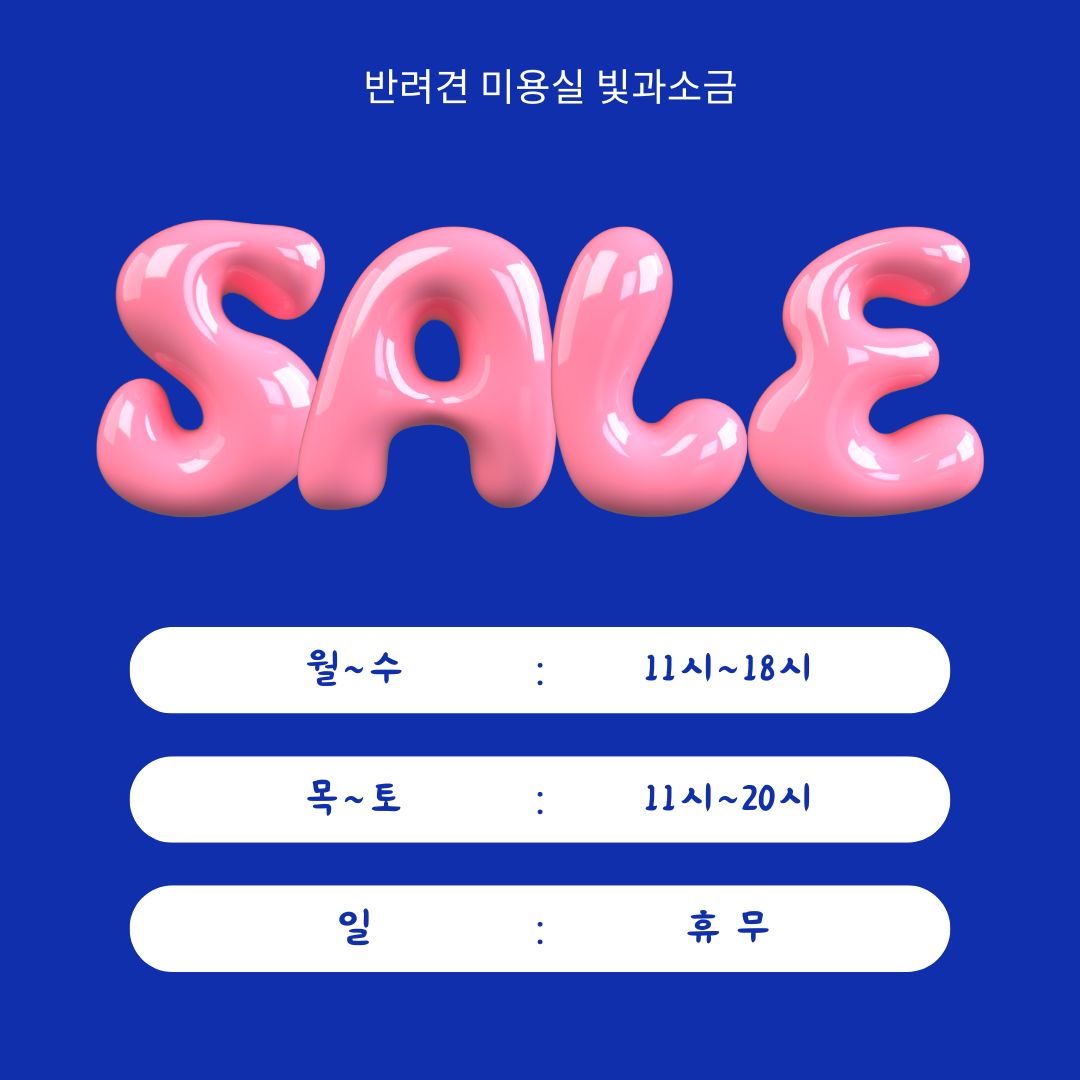 빛과소금