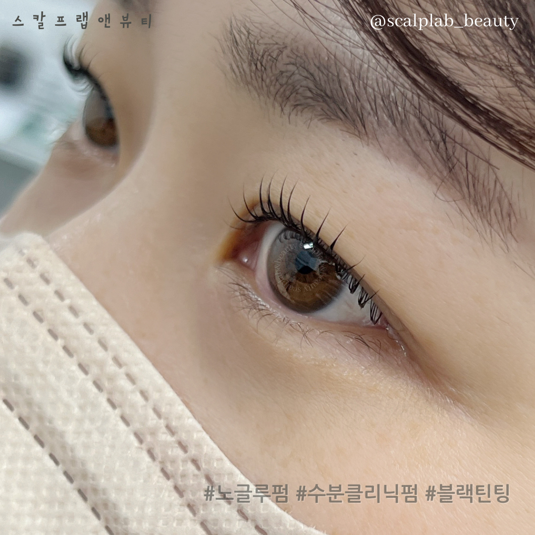 스칼프랩앤뷰티 속눈썹&눈썹&탈모 의정부점