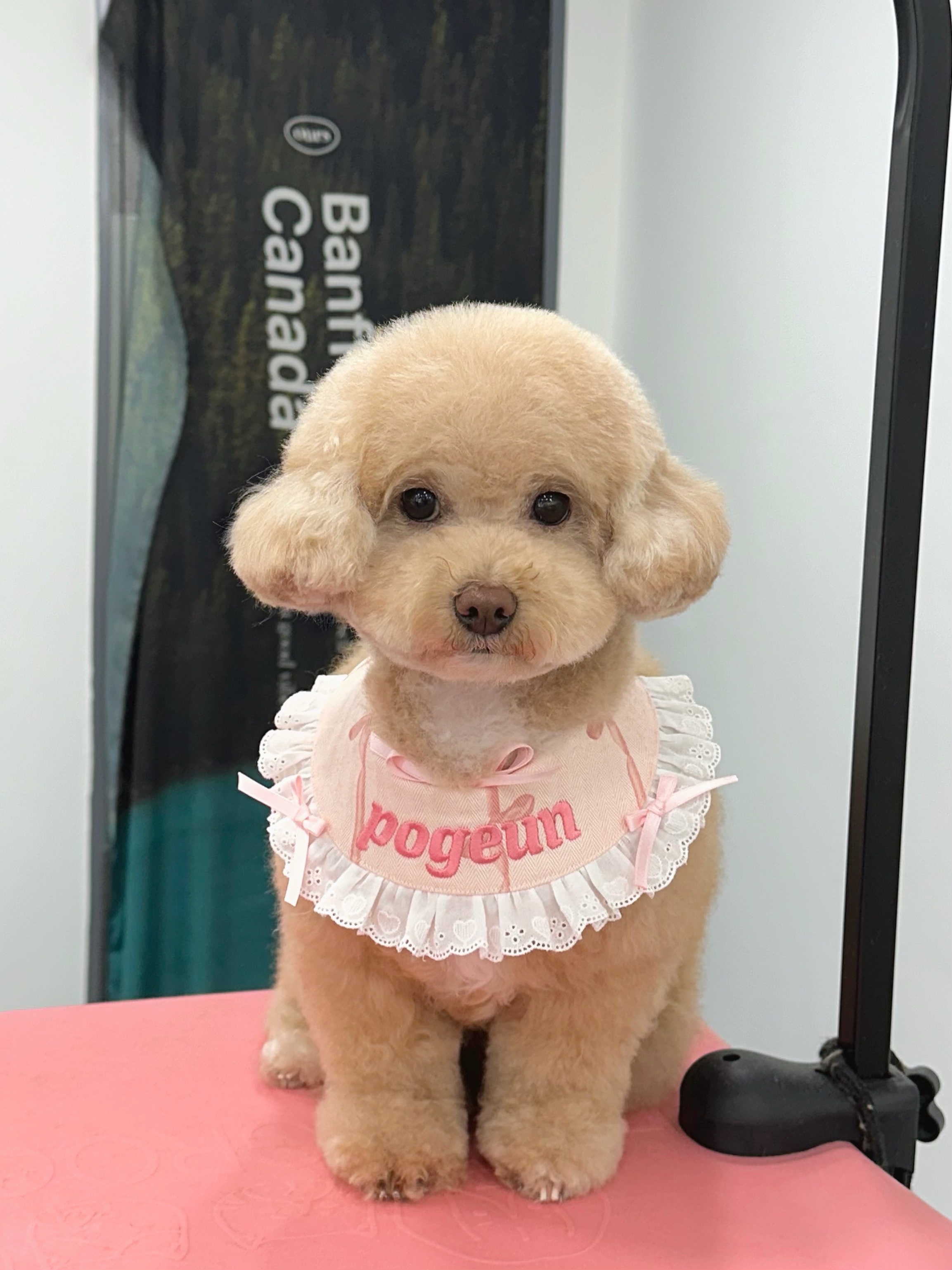 포근