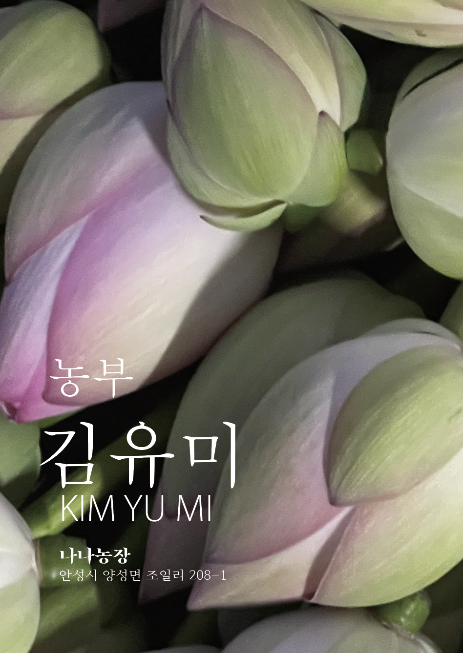 나나농장