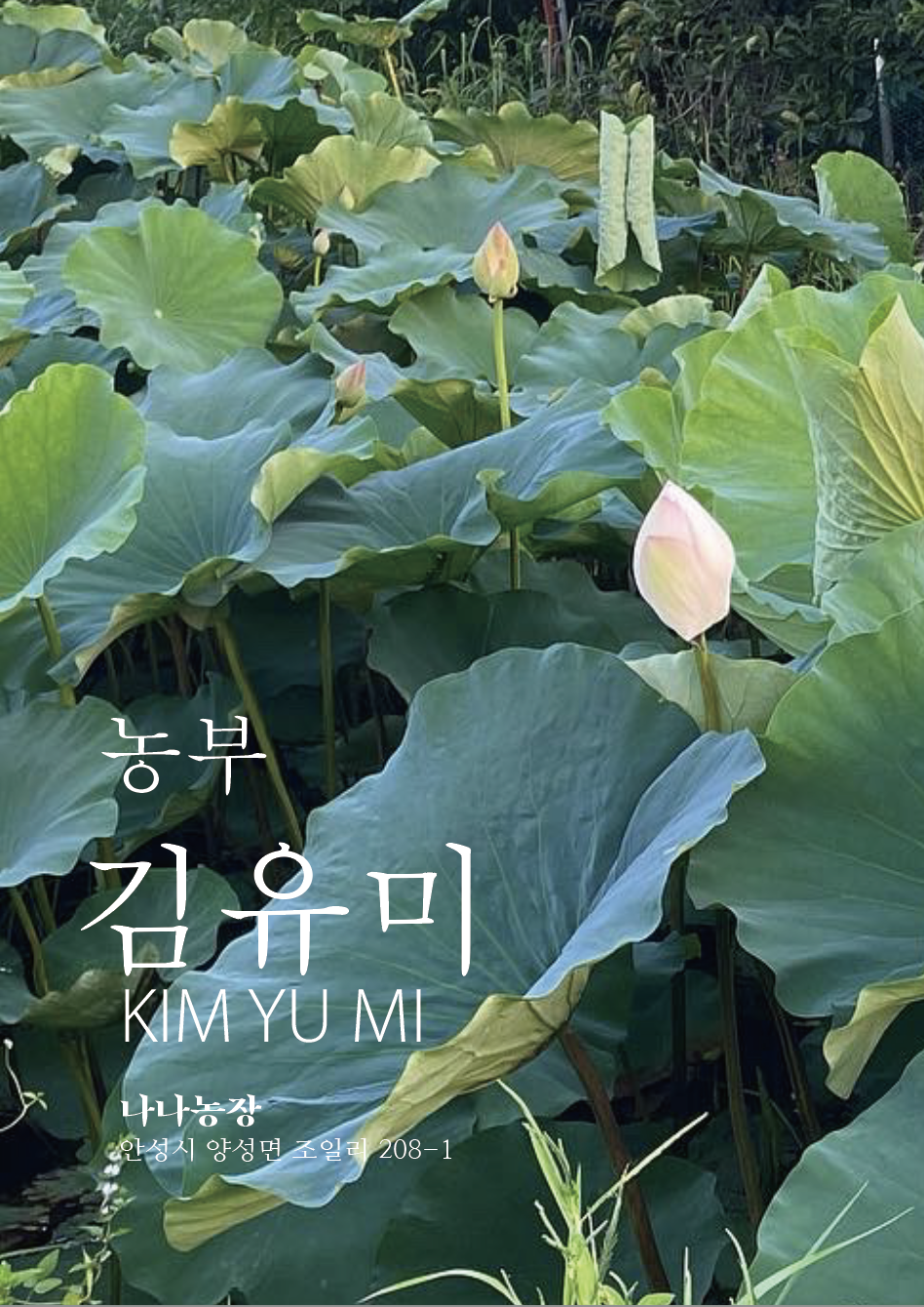 나나농장