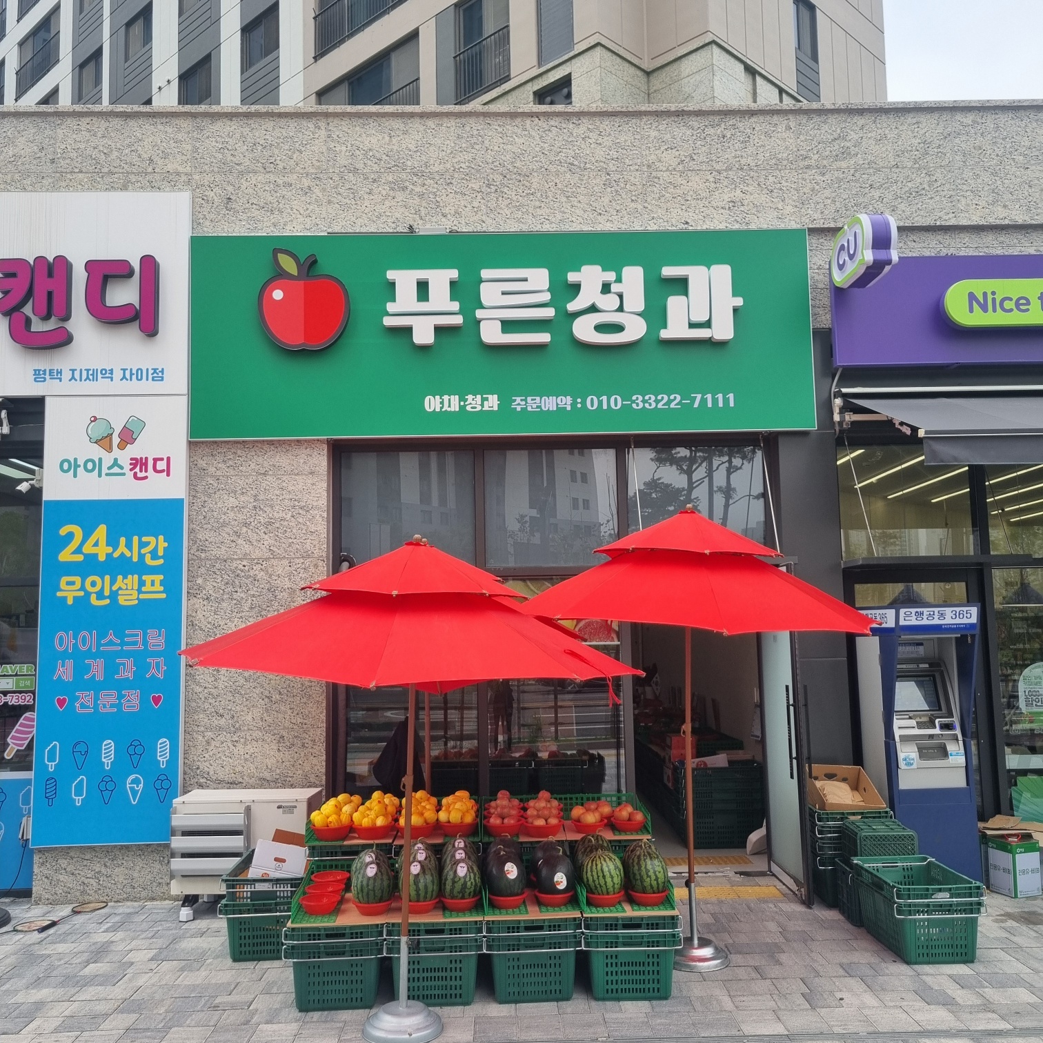 푸른청과